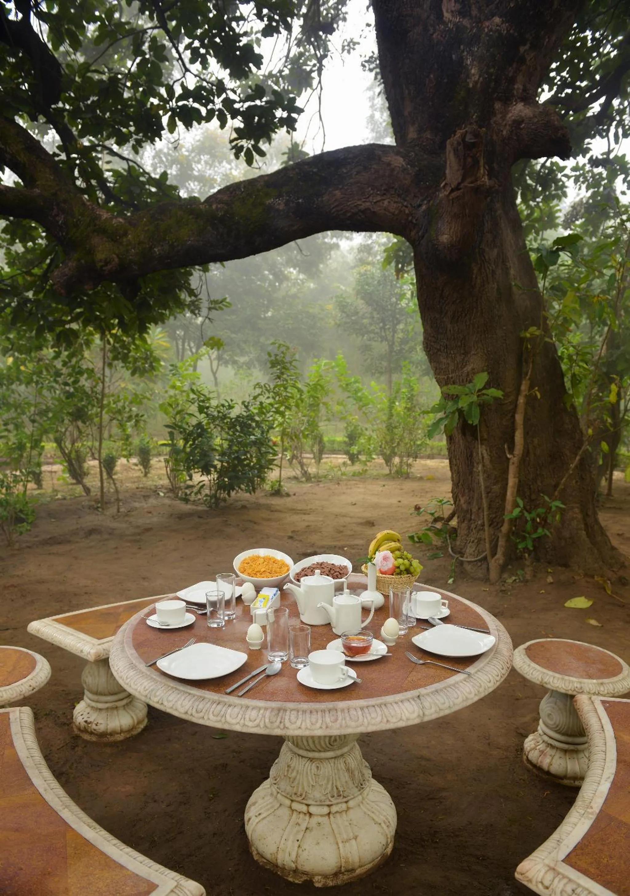 Garden in Syna Tiger Resort Bandhavgarh