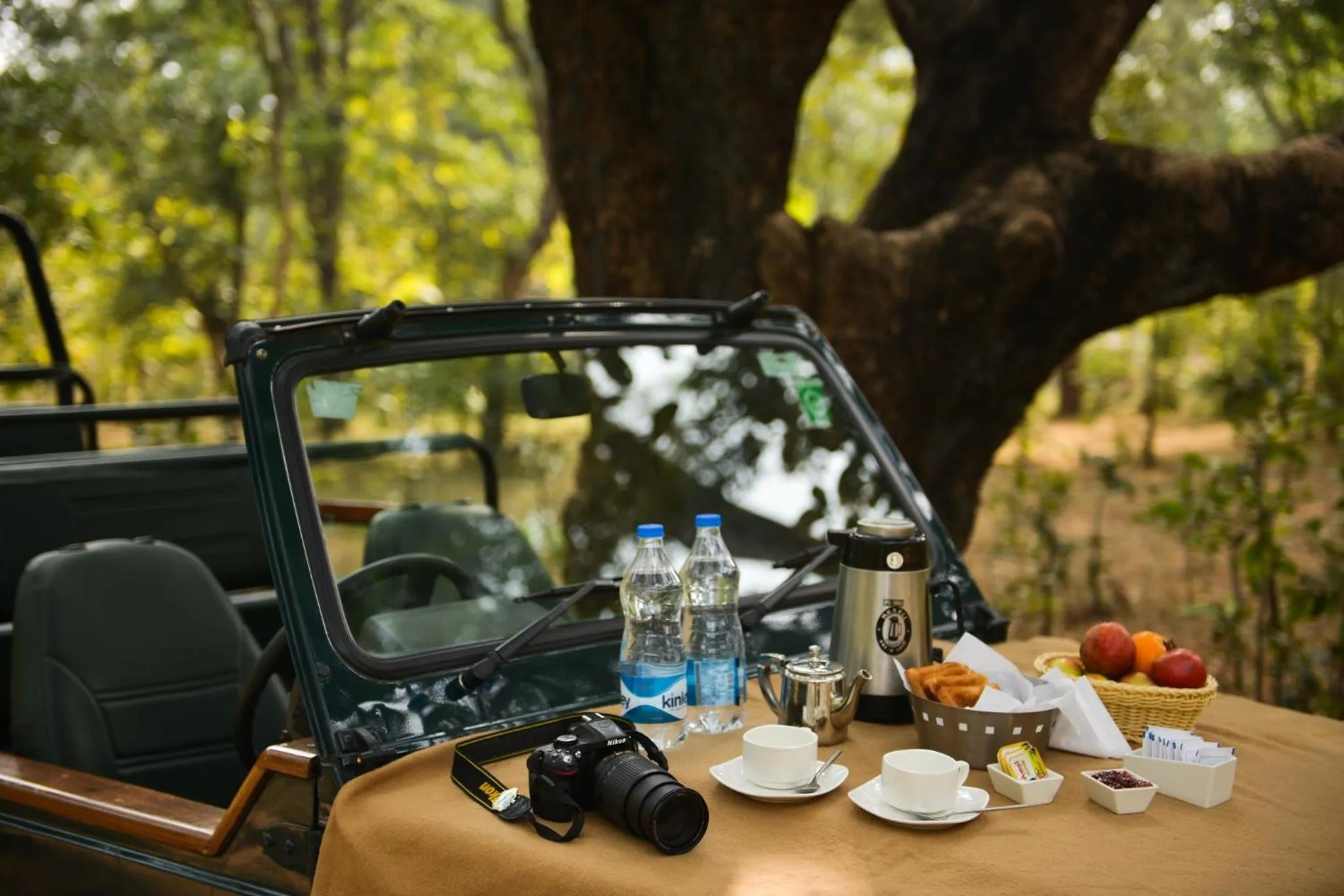 Activities in Syna Tiger Resort Bandhavgarh
