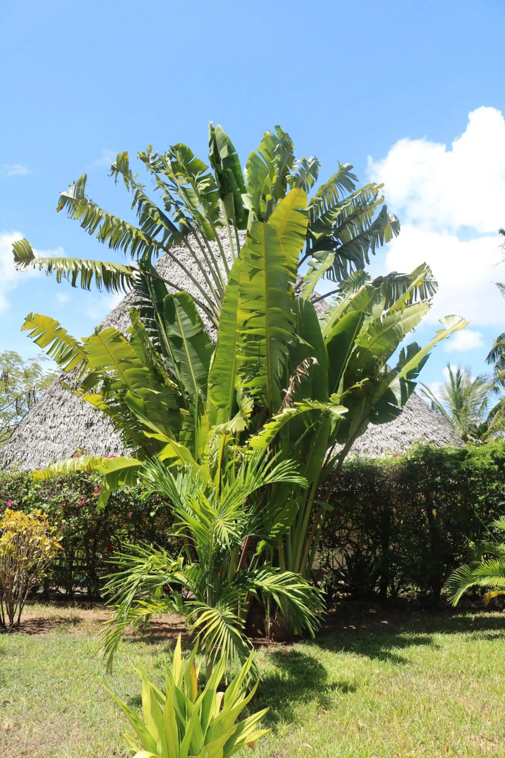 Day in Villa Madinina