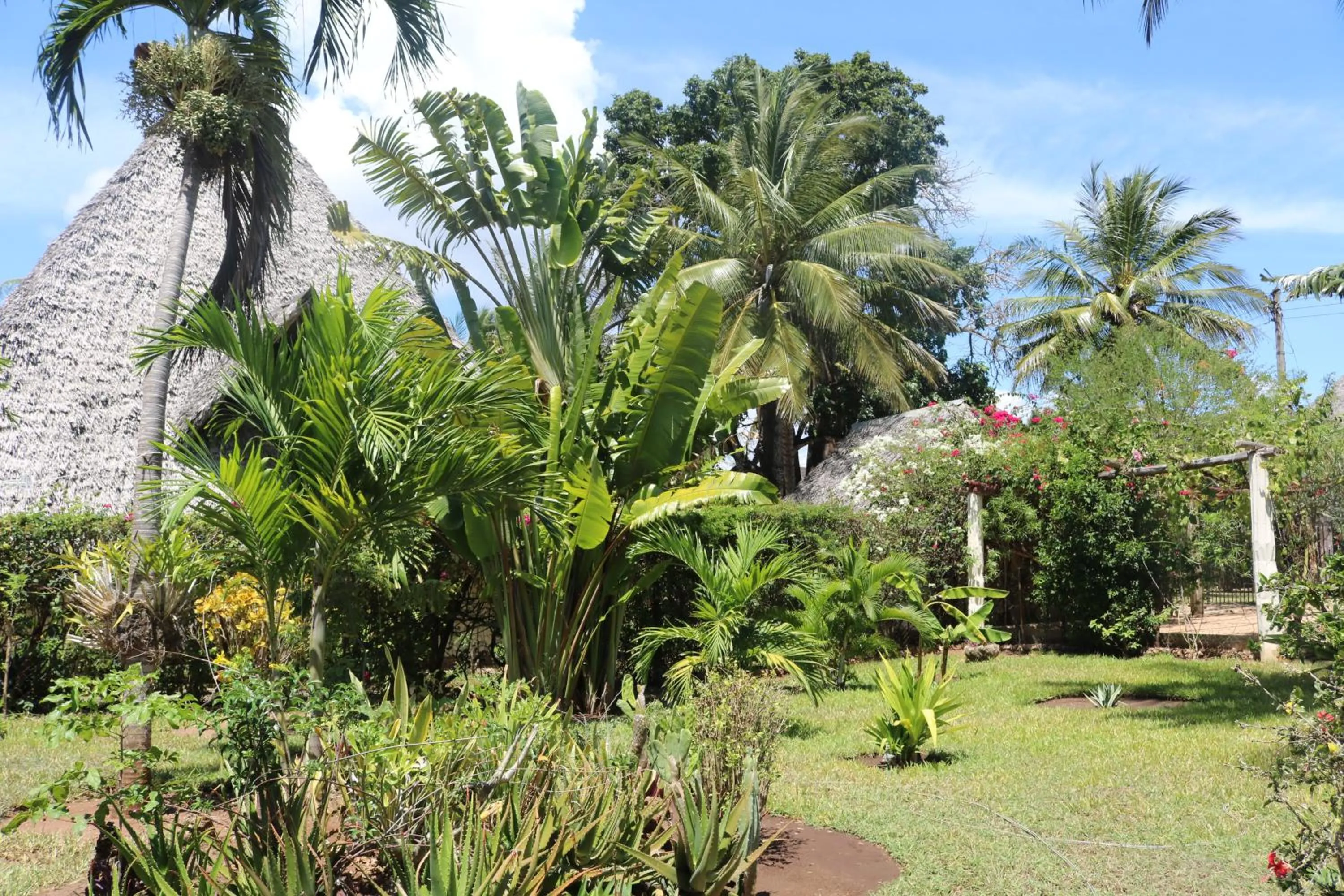 Garden in Villa Madinina