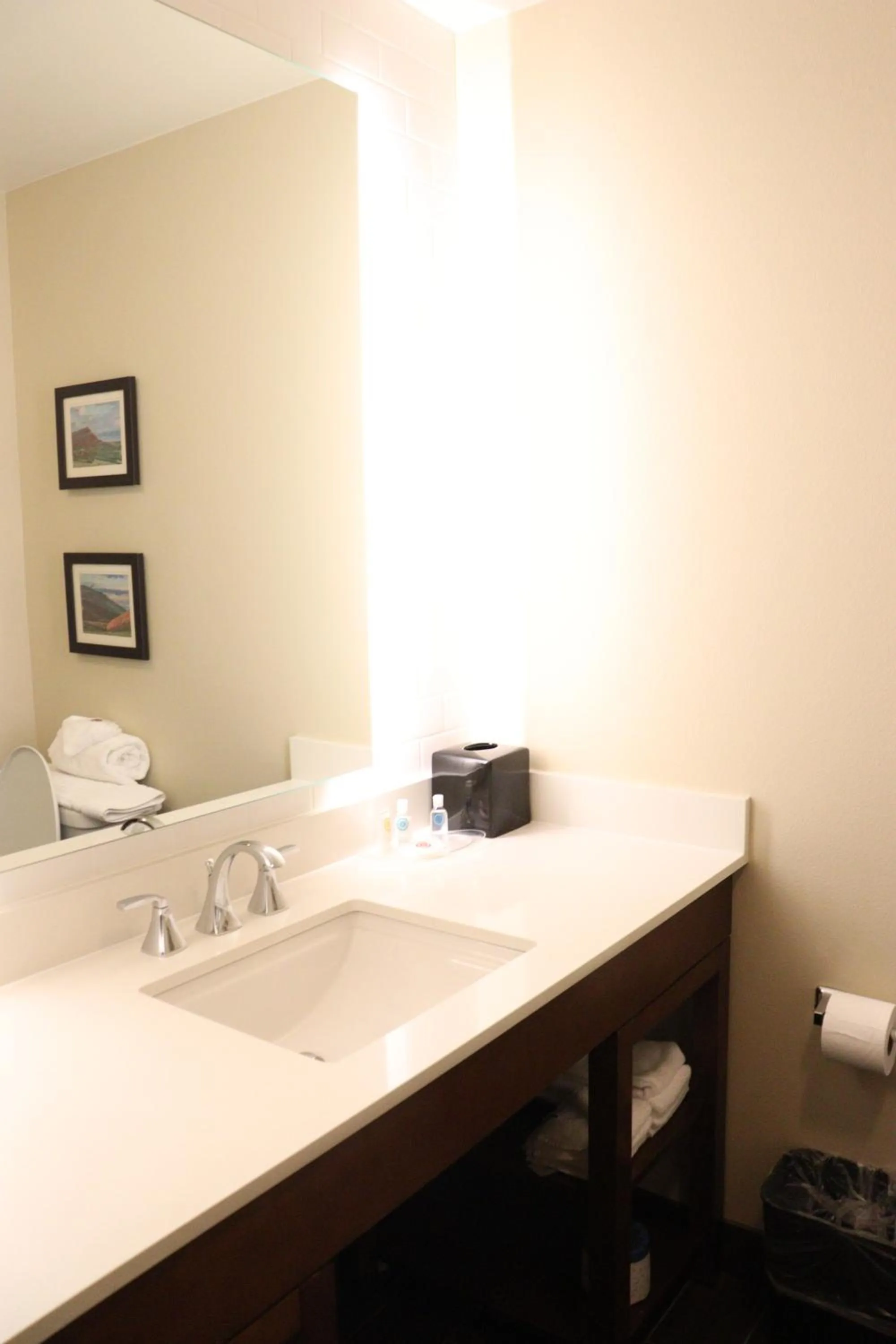 Bathroom in Comfort Suites Loveland