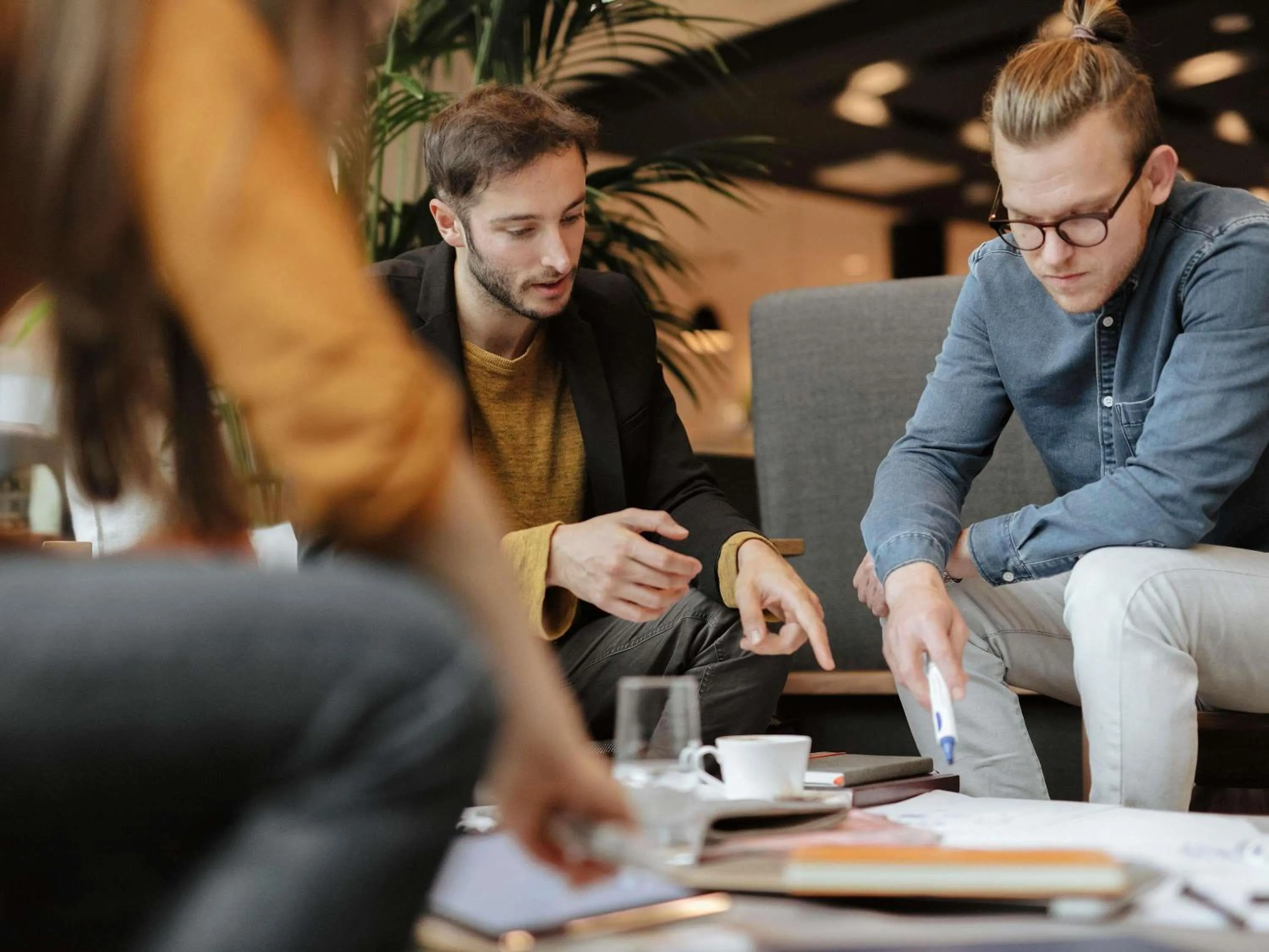 Other in ibis Guaiba