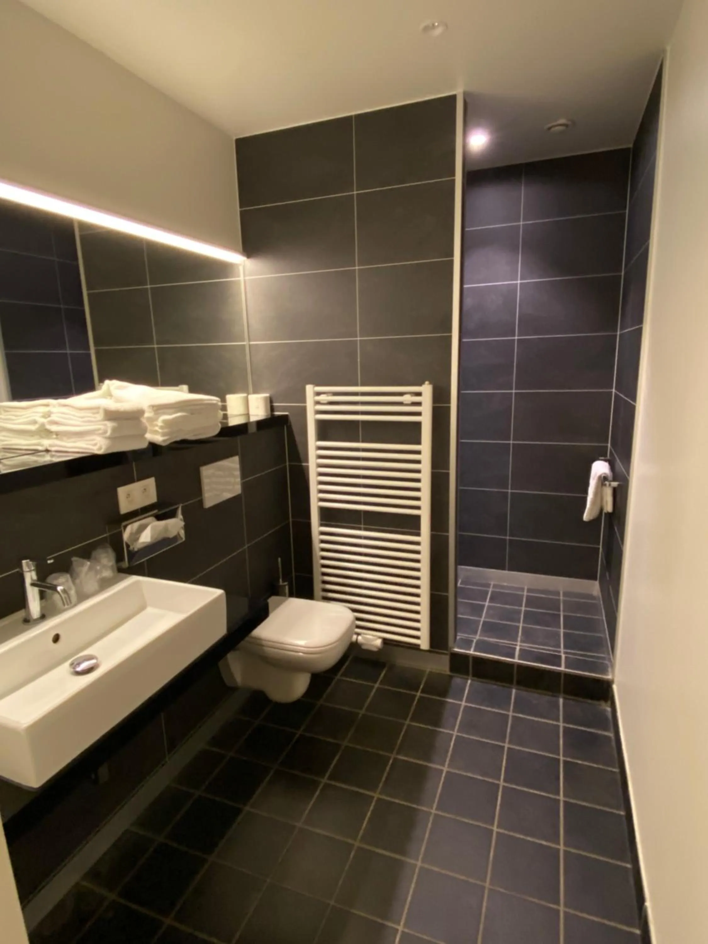 Toilet in Hotel New Regina