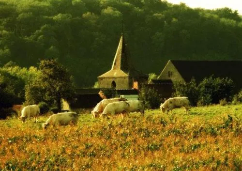 Area and facilities in Hotel Limburgia