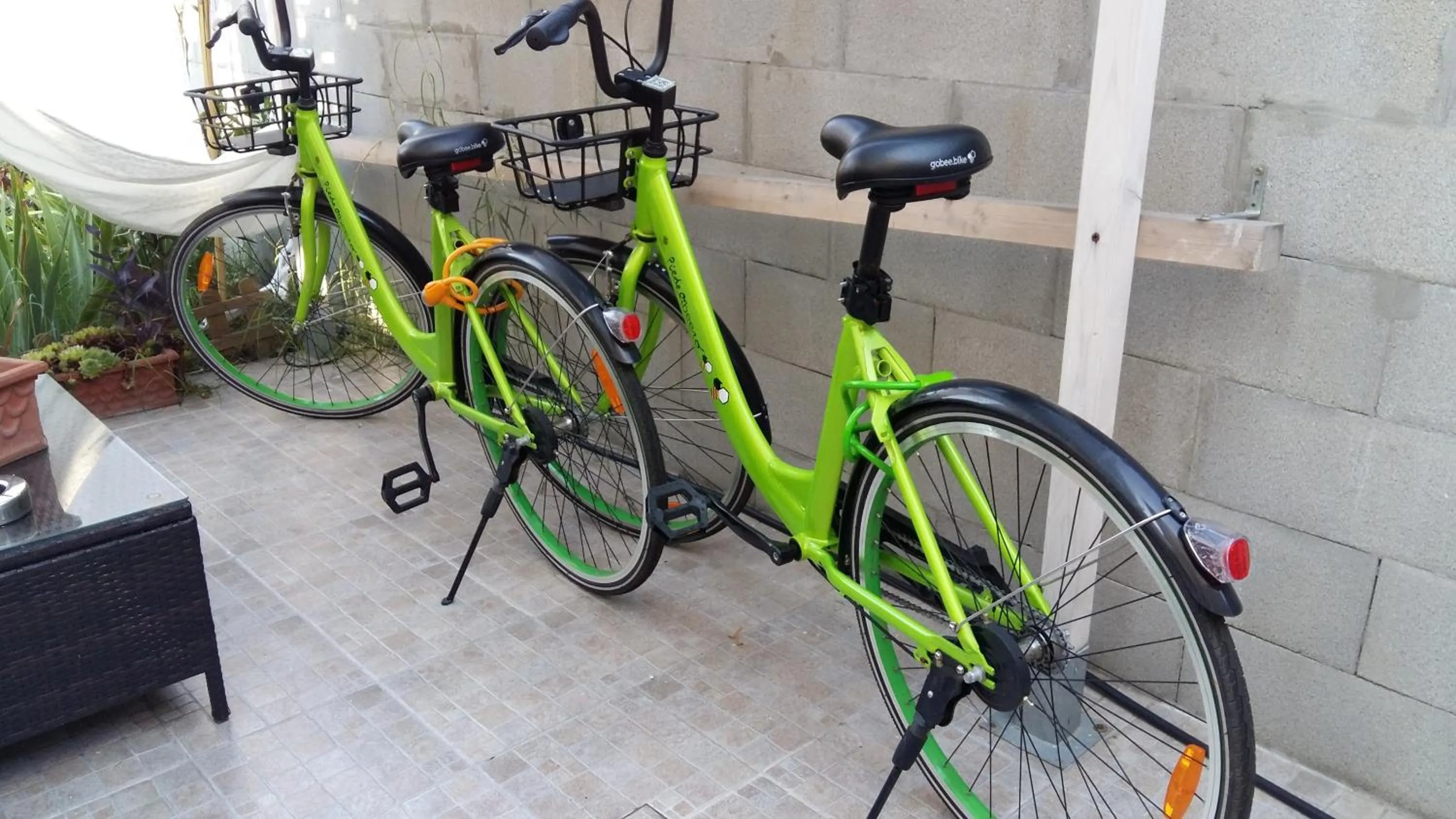 Cycling in B & B Eliana