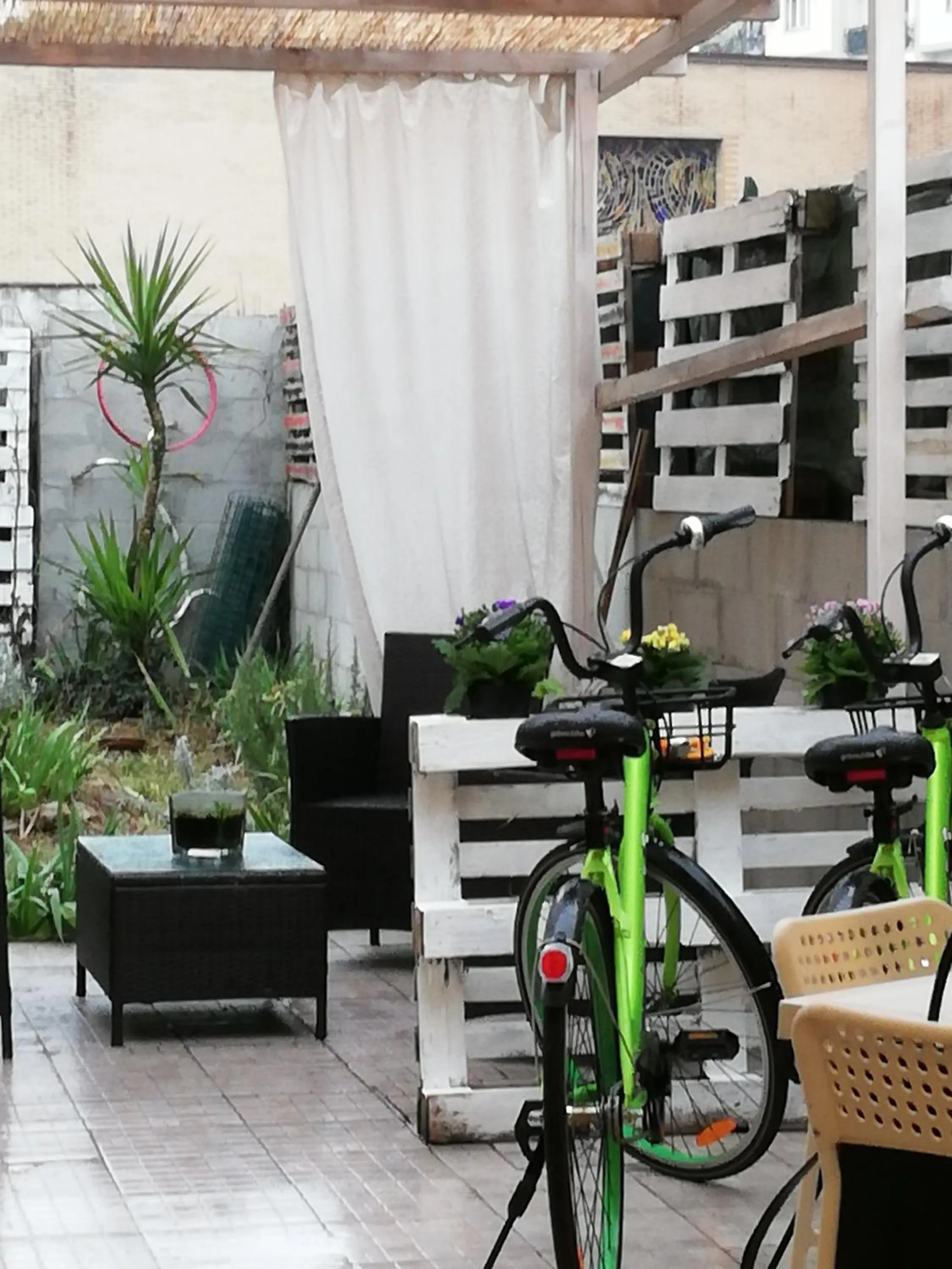 Garden in B & B Eliana