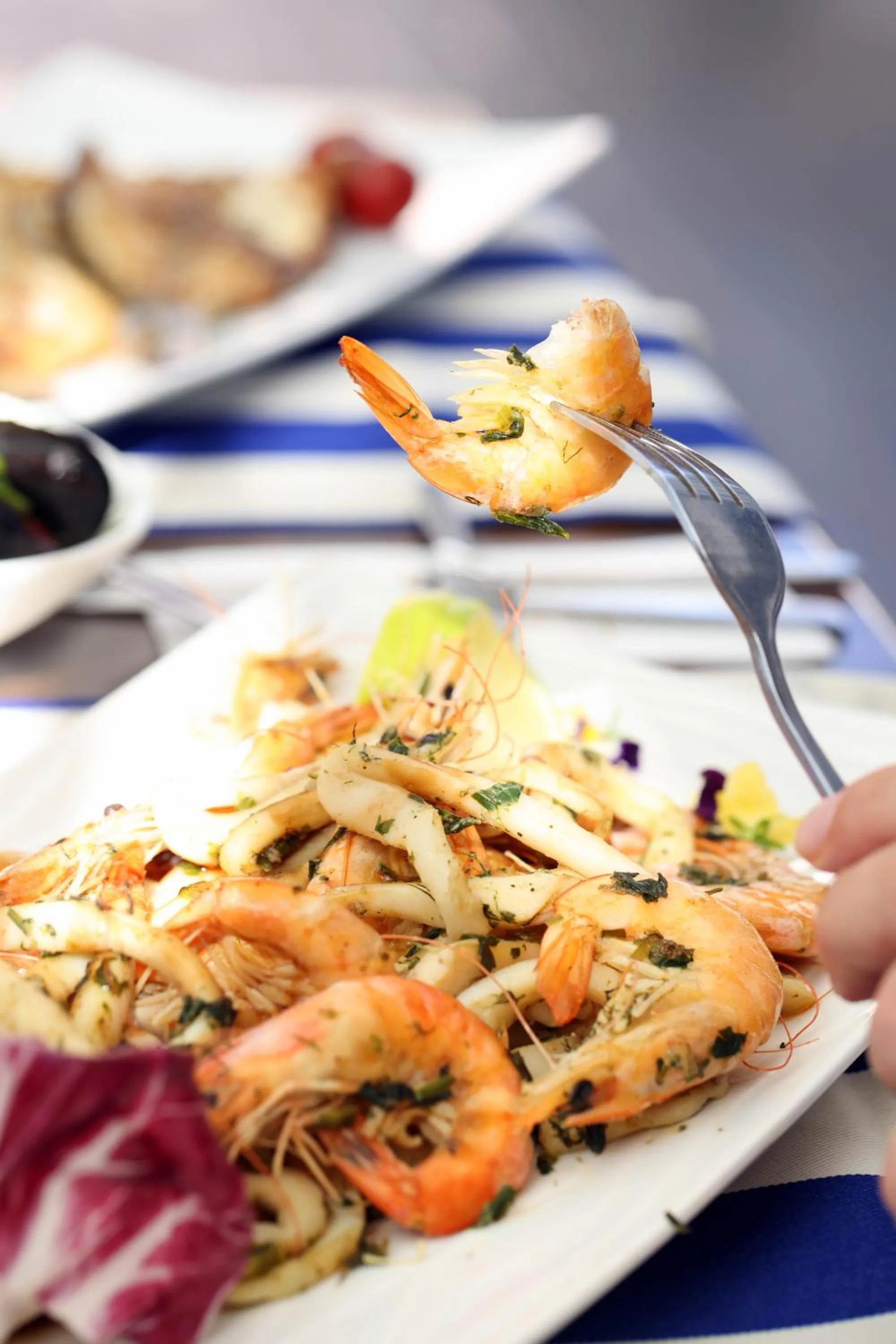 Food and drinks in Rome Palace Deluxe - All Inclusive Premium