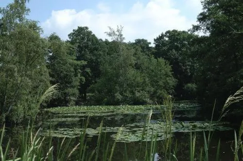 Garden in Kasteel Wurfeld