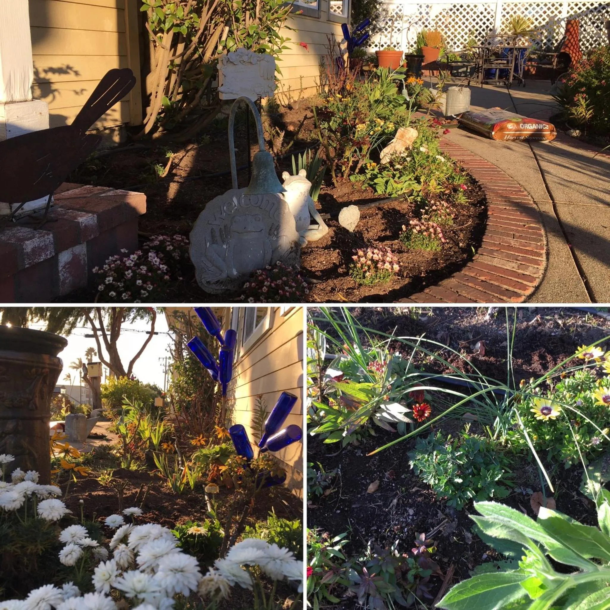 Patio in Marina Street Inn