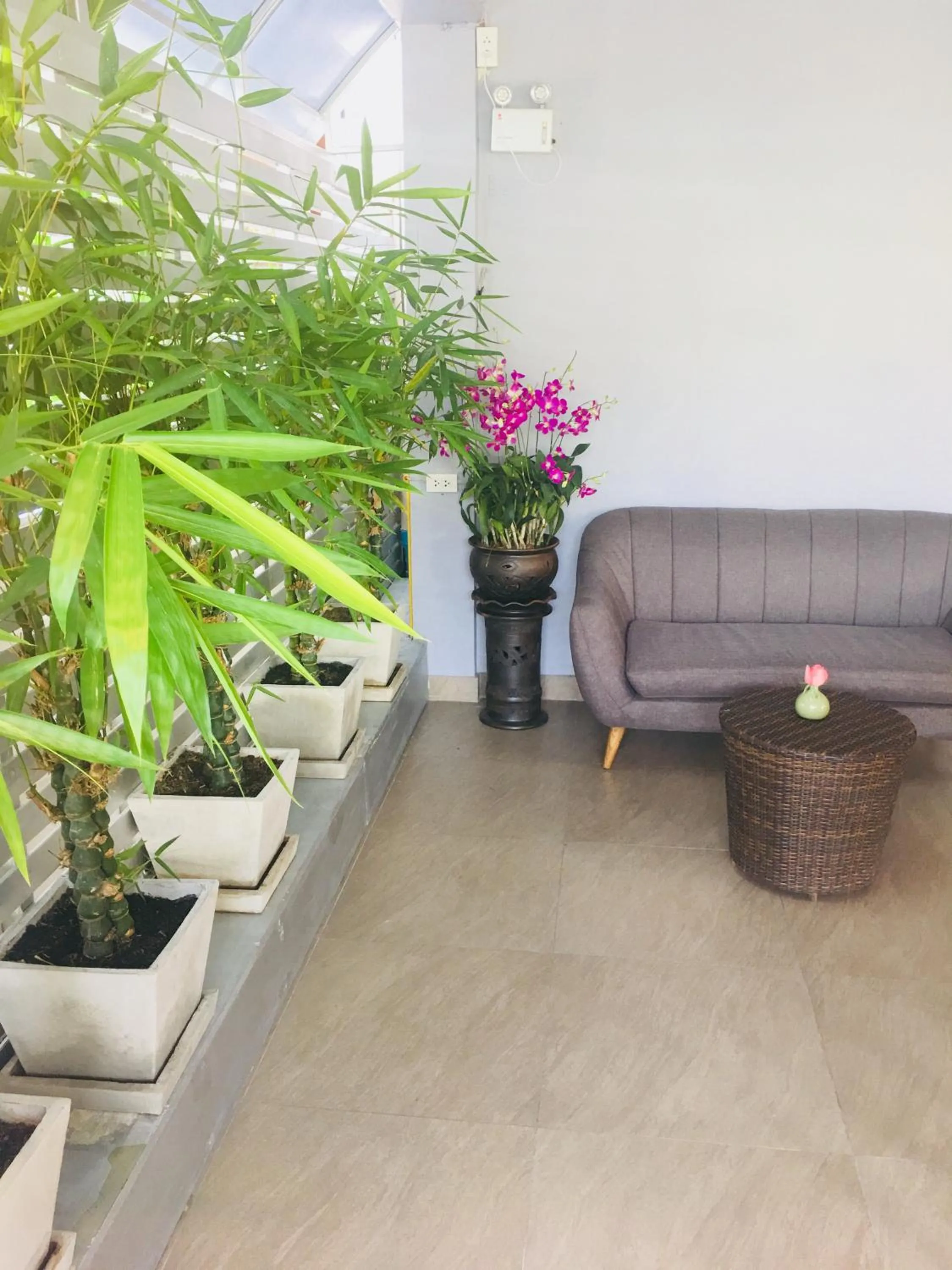 Area and facilities in Kavil Guesthouse