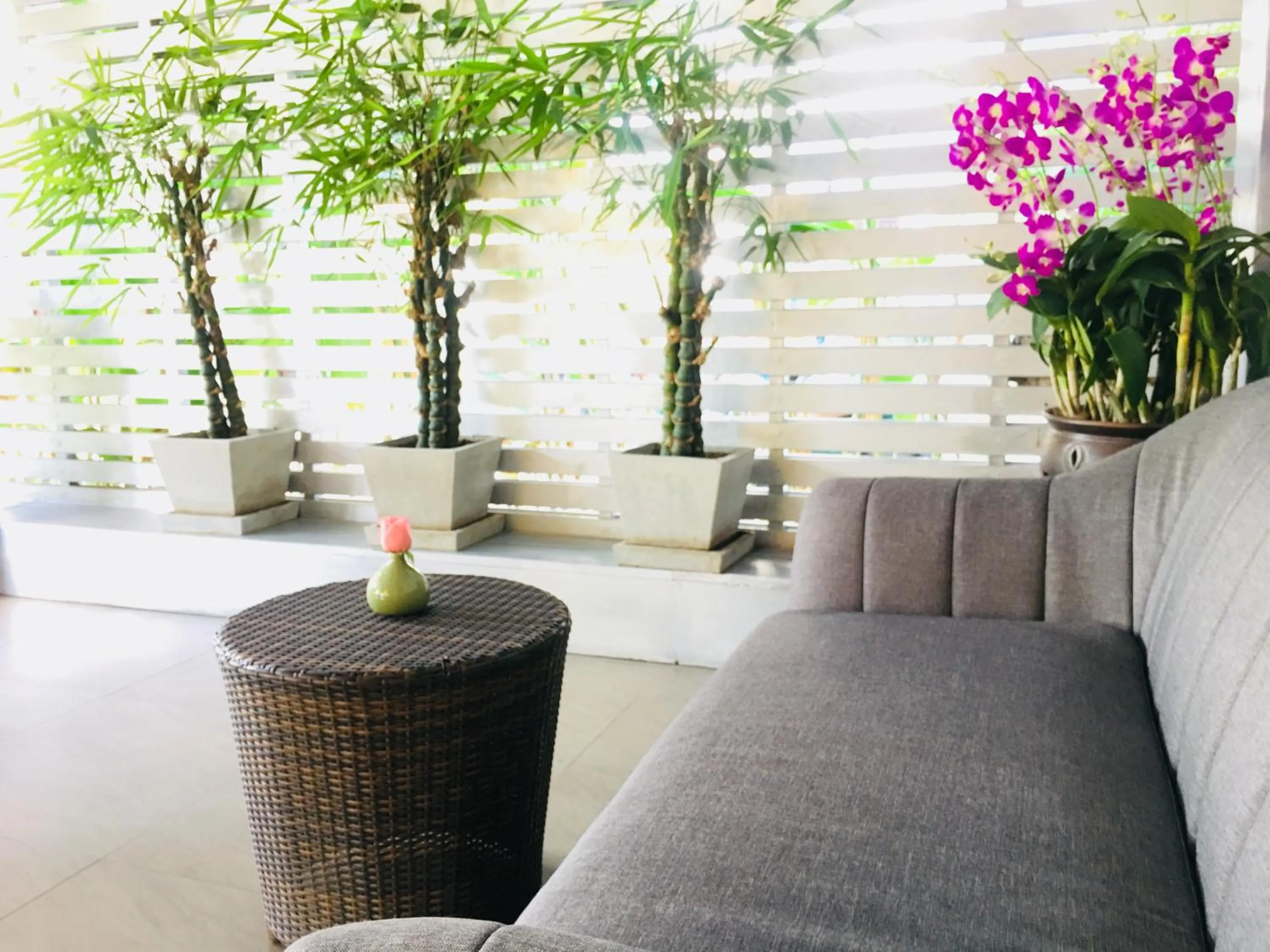 Area and facilities in Kavil Guesthouse