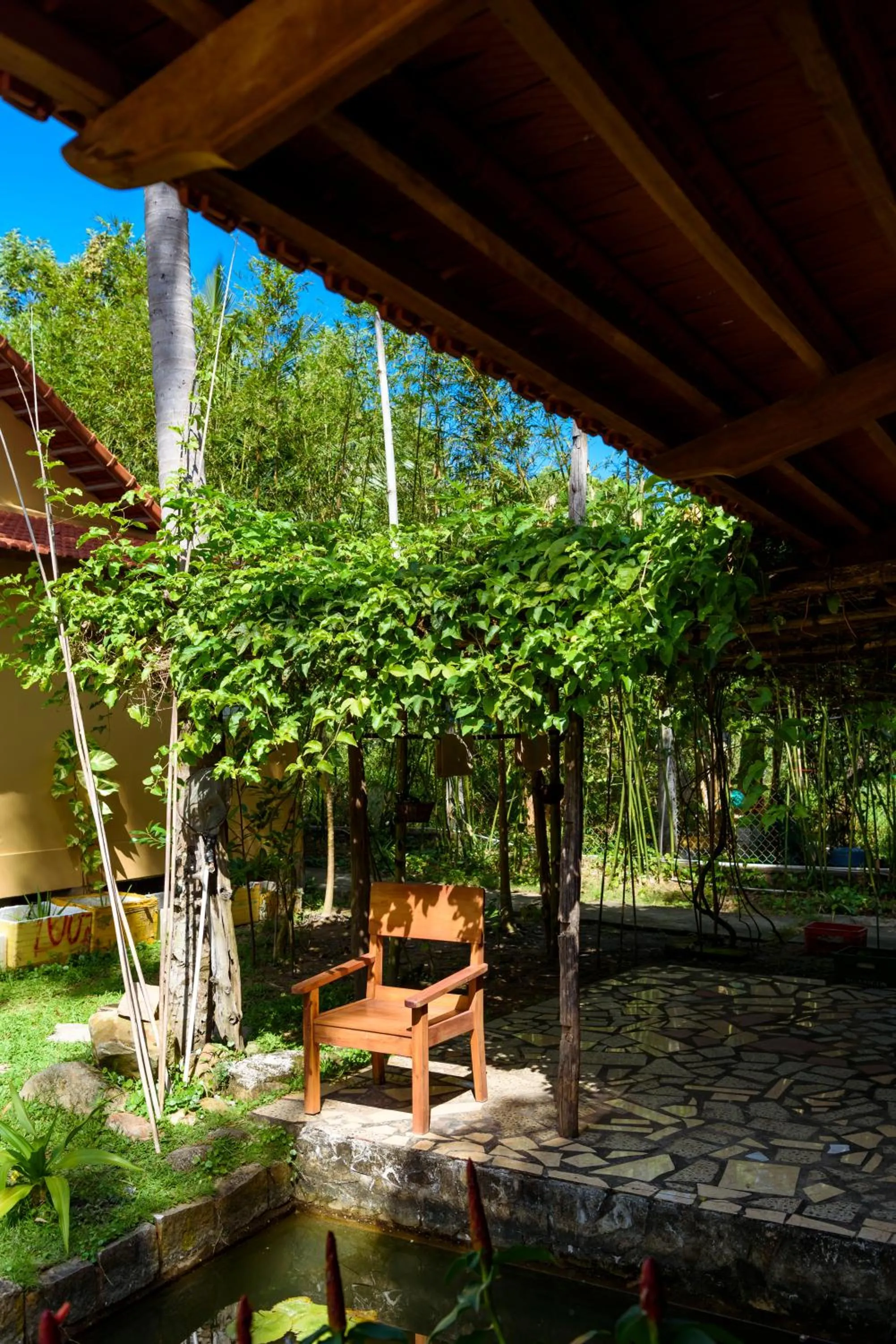 Garden in Mango Beach Resort