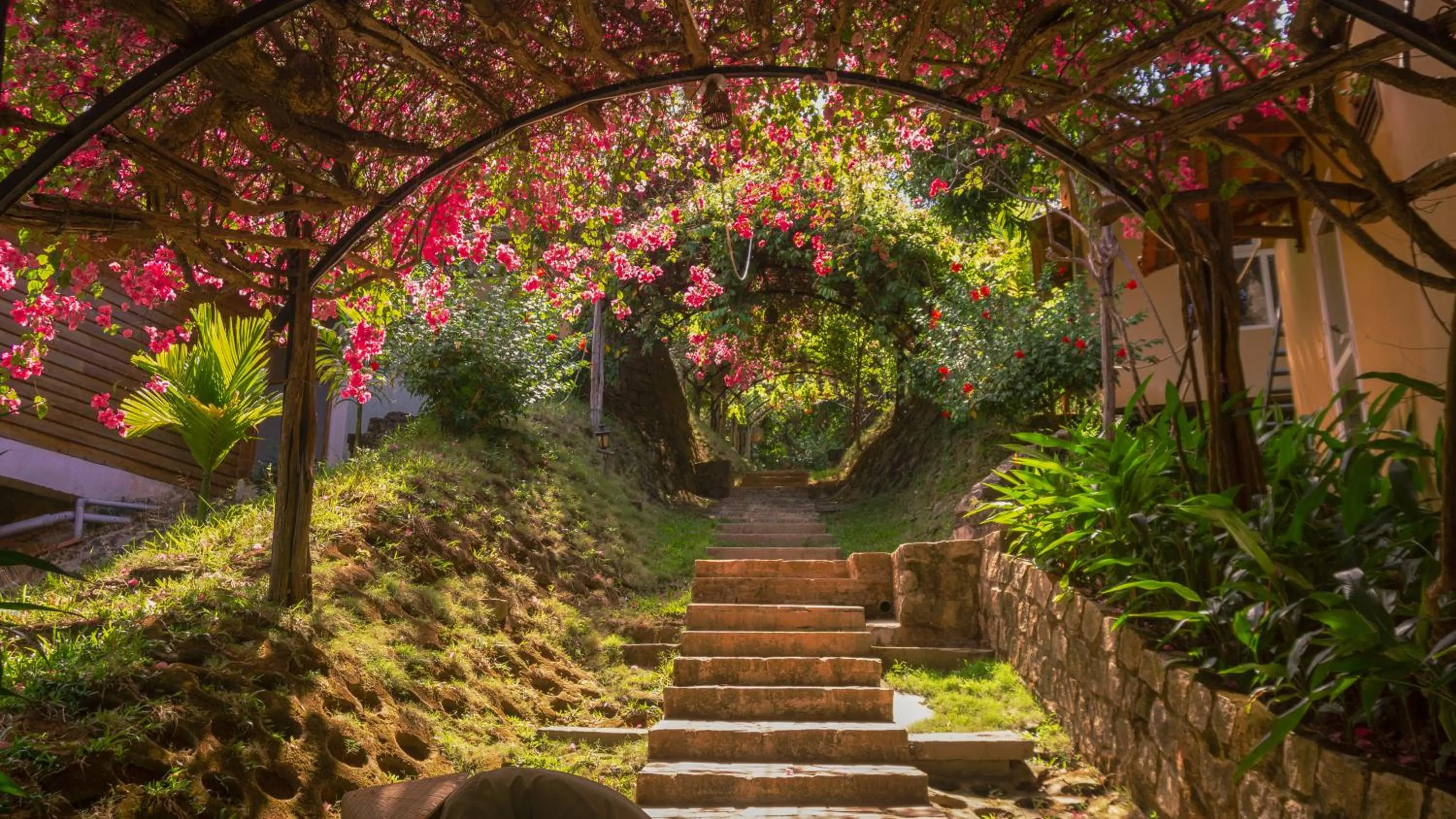Facade/entrance in Mango Beach Resort