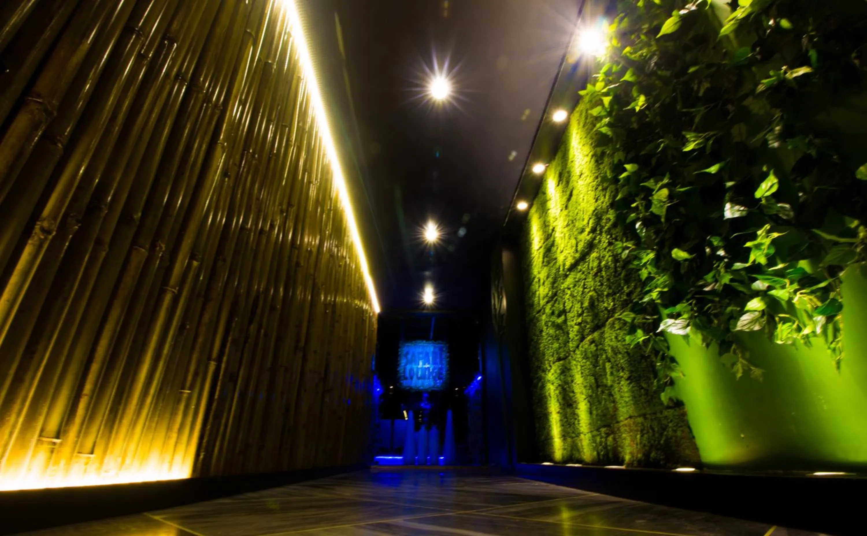 Restaurant/places to eat in Hotel Mittal Paradise