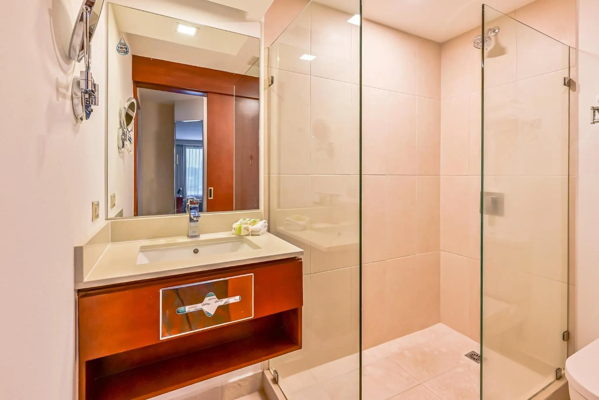 Bathroom in Holiday Inn San Jose La Sabana by IHG