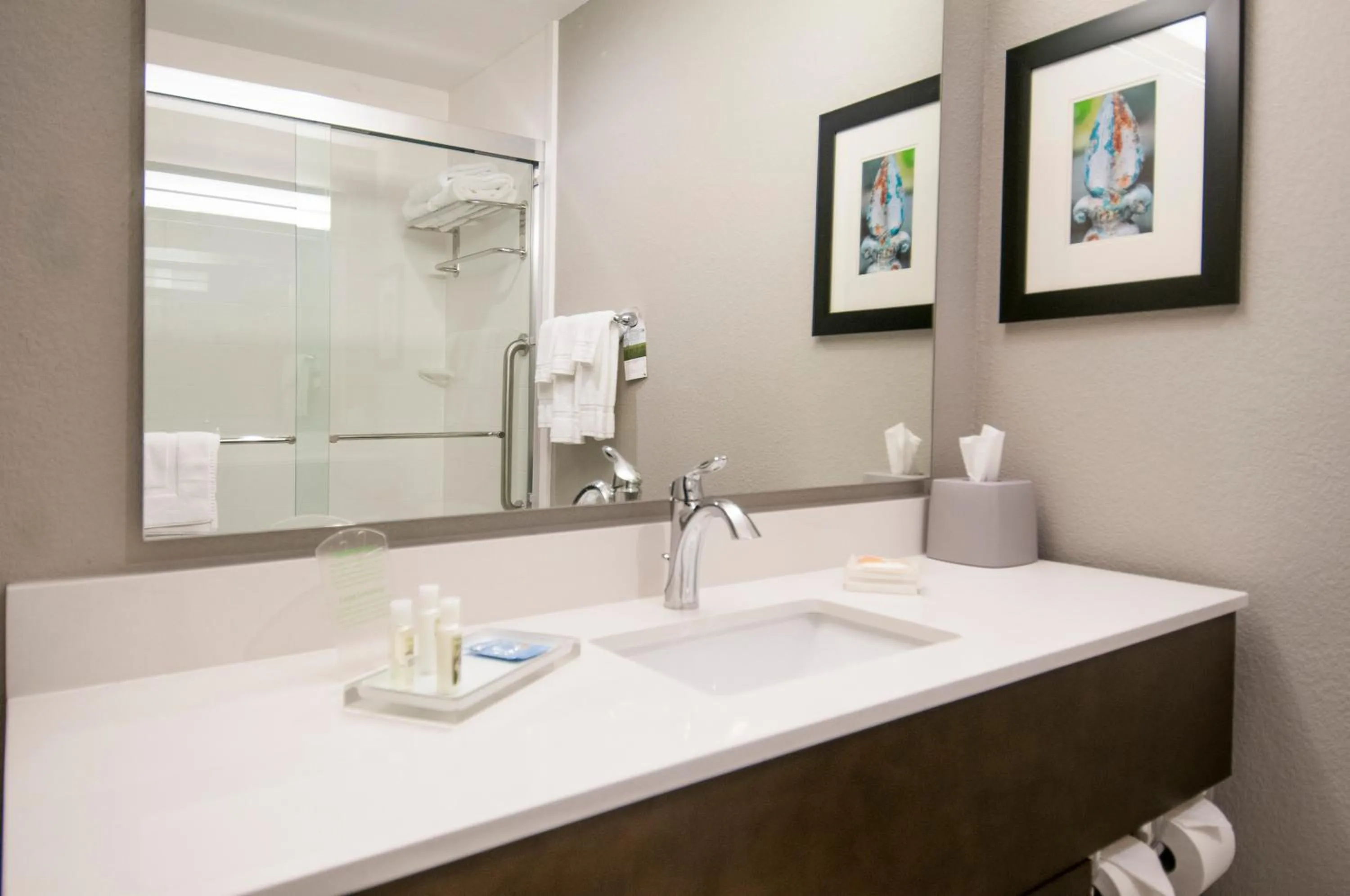 Bathroom in Holiday Inn - New Orleans Airport North by IHG