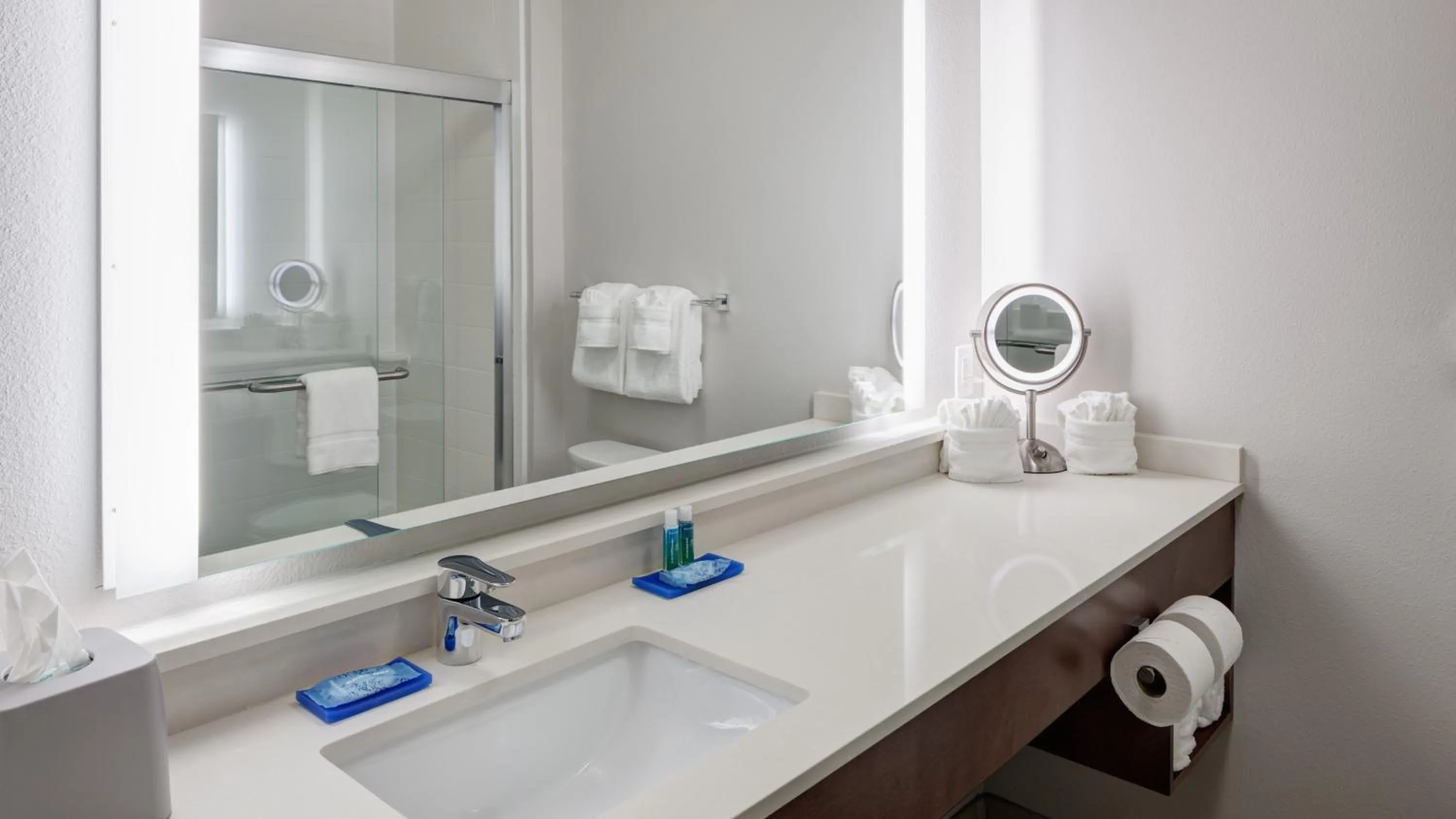 Bathroom in Holiday Inn Express & Suites Orlando At SeaWorld by IHG - With Free Shuttle Service to SeaWorld Parks