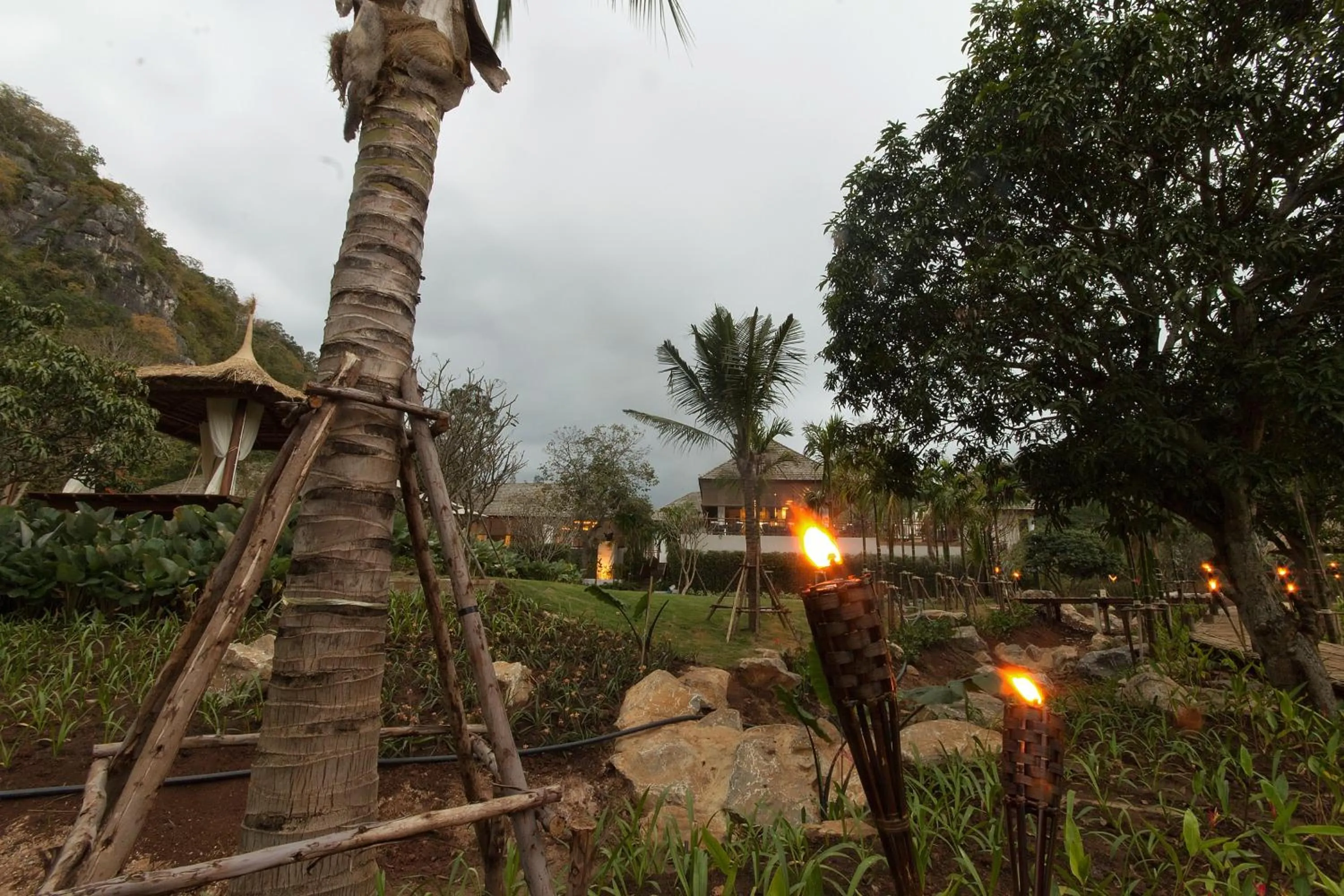 Garden view in The Series Resort Khaoyai