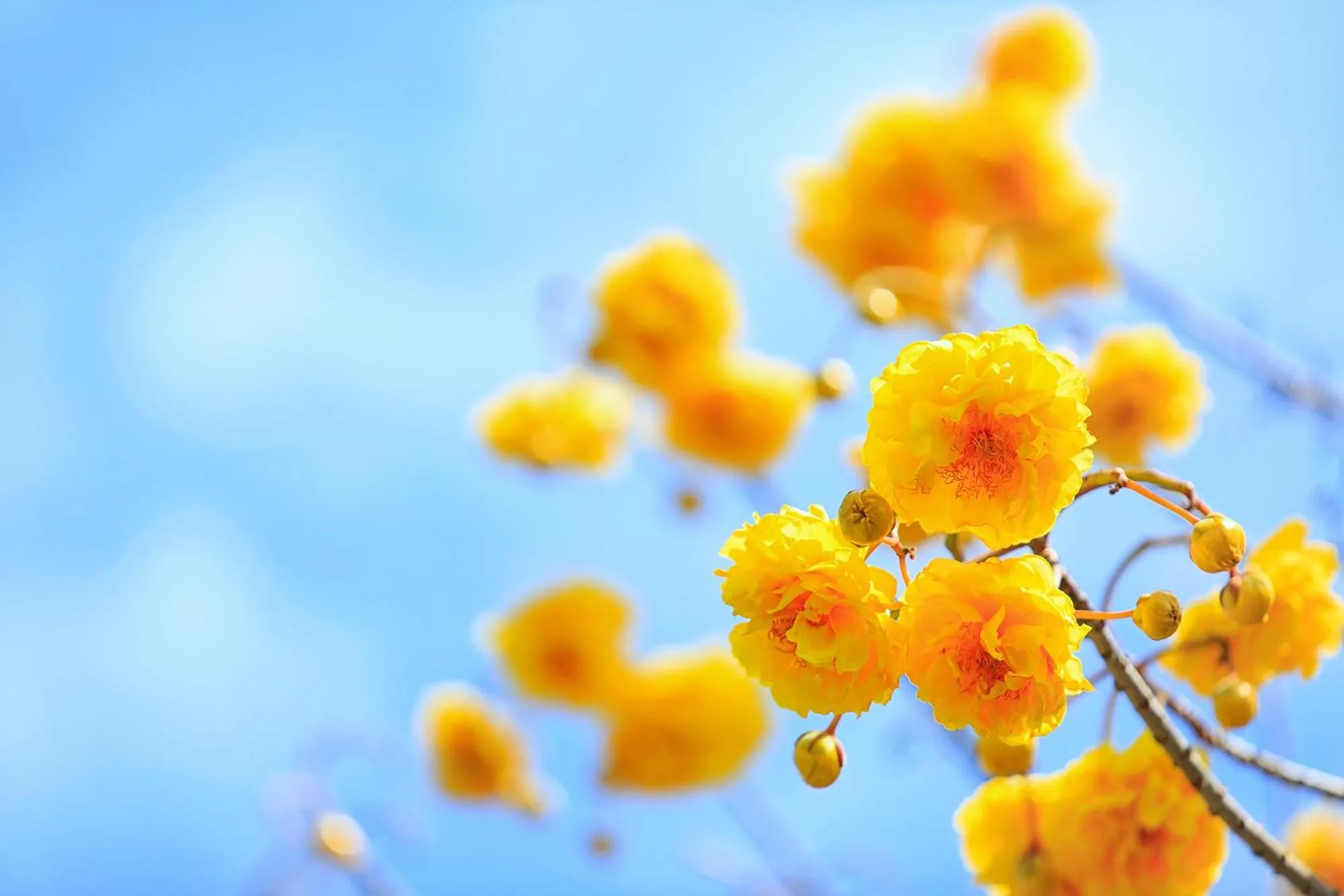 Area and facilities in The Series Resort Khaoyai