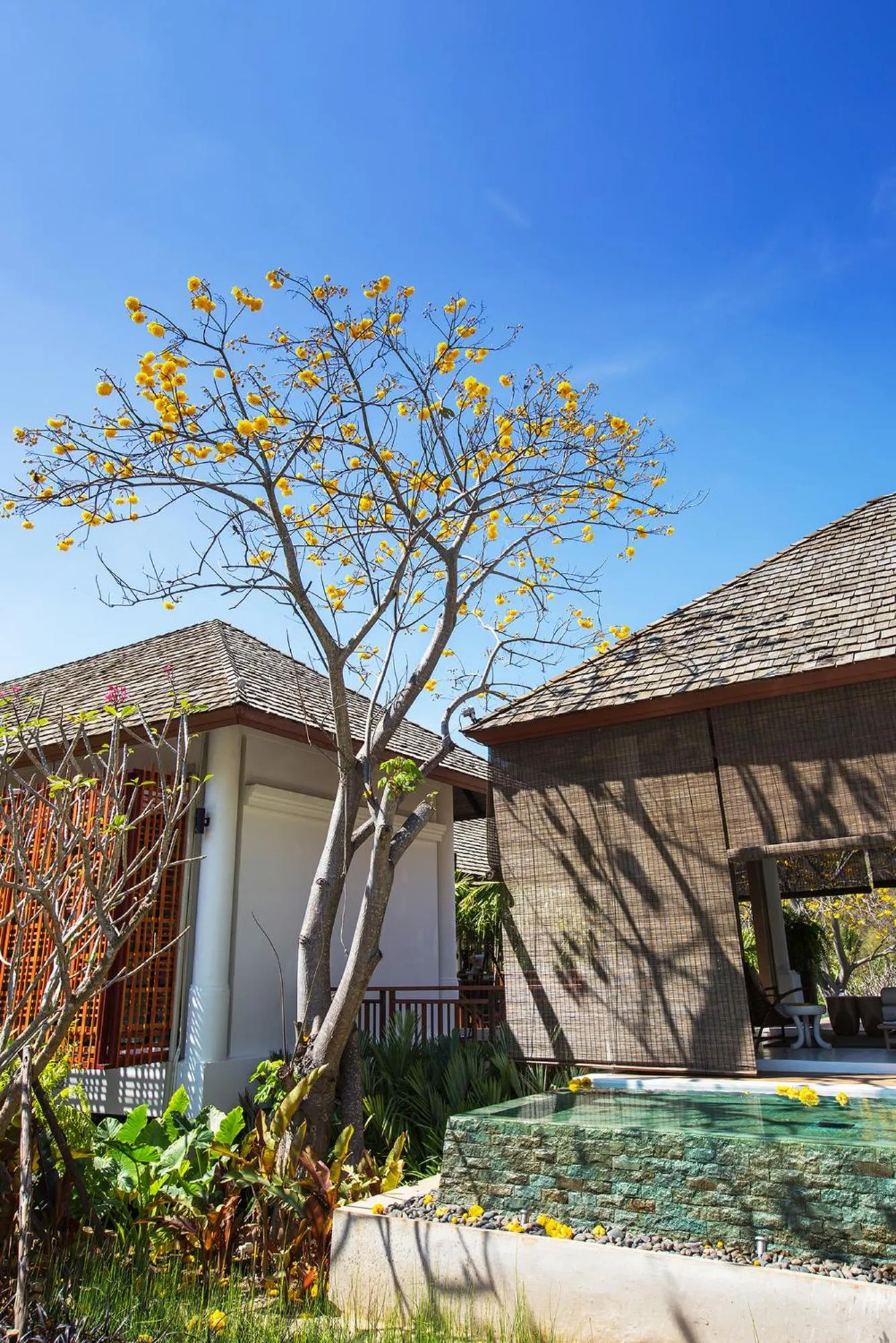 Area and facilities in The Series Resort Khaoyai