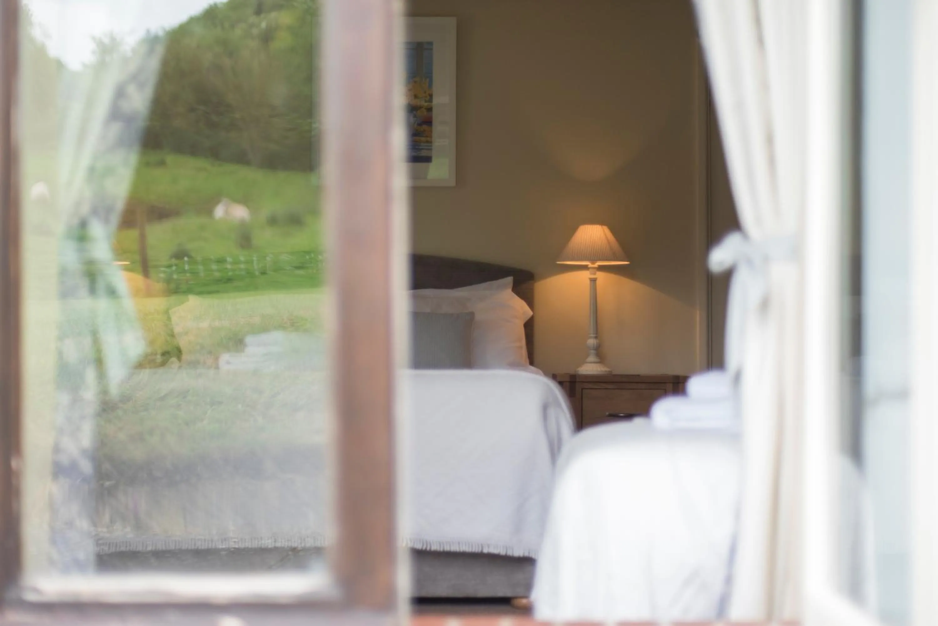 Garden in The White Horse Inn