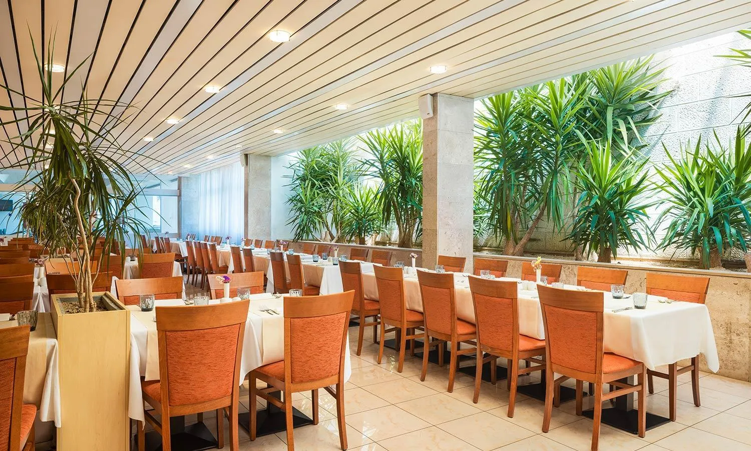 Restaurant/places to eat in Marko Polo Maradiso Hotel by Aminess