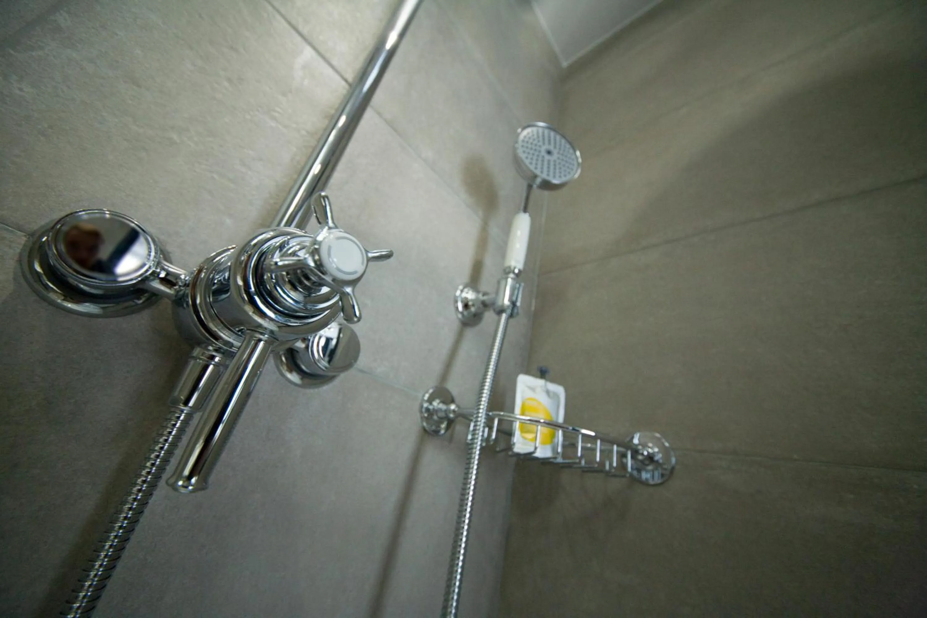 Shower in The House of Toby