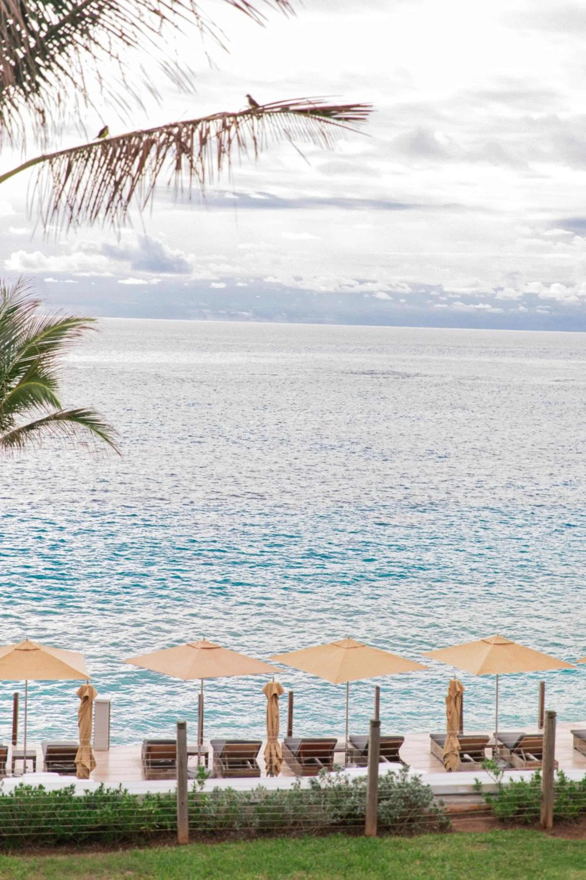 Natural landscape in The Loren at Pink Beach