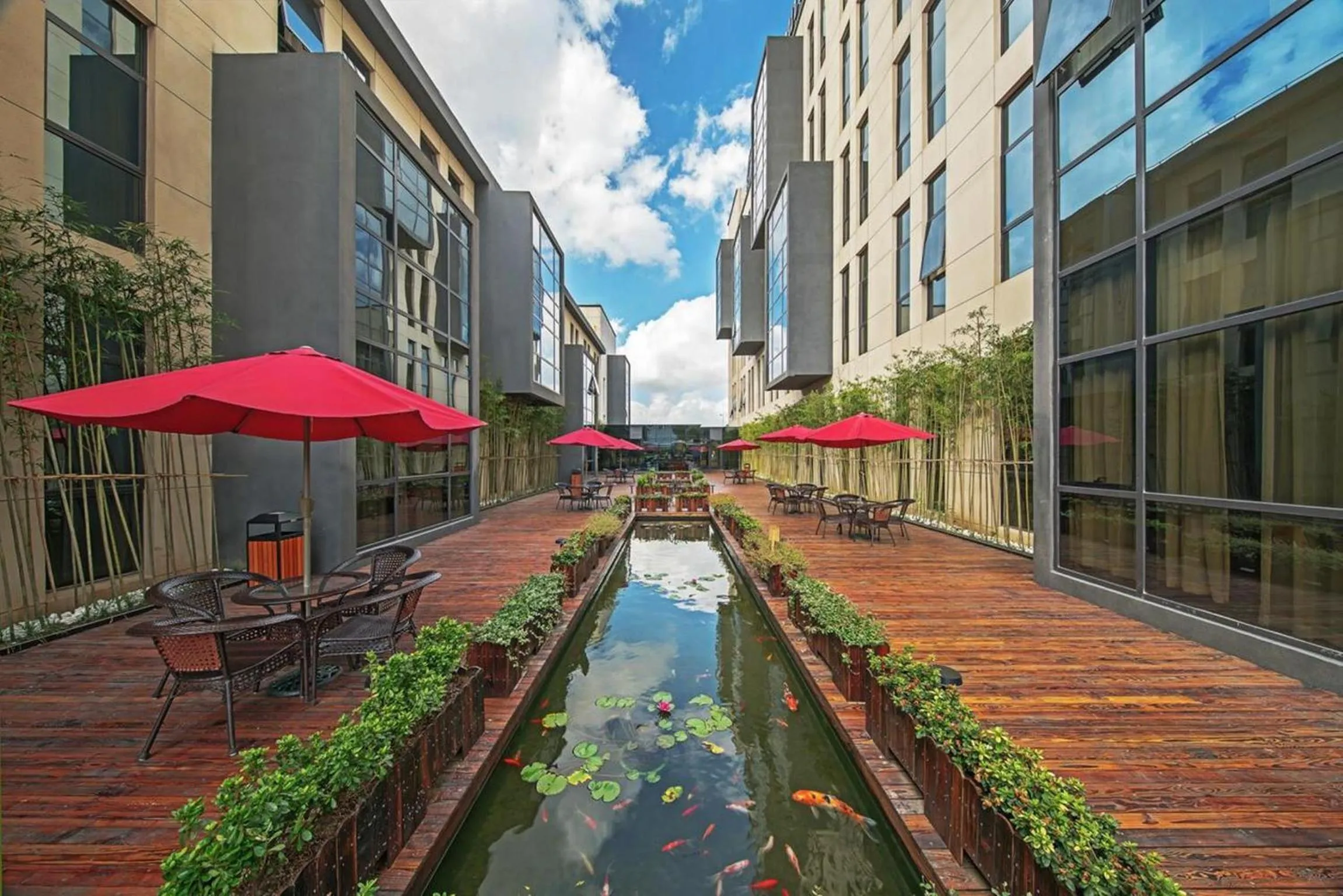 Garden in Best Boutique Hotel