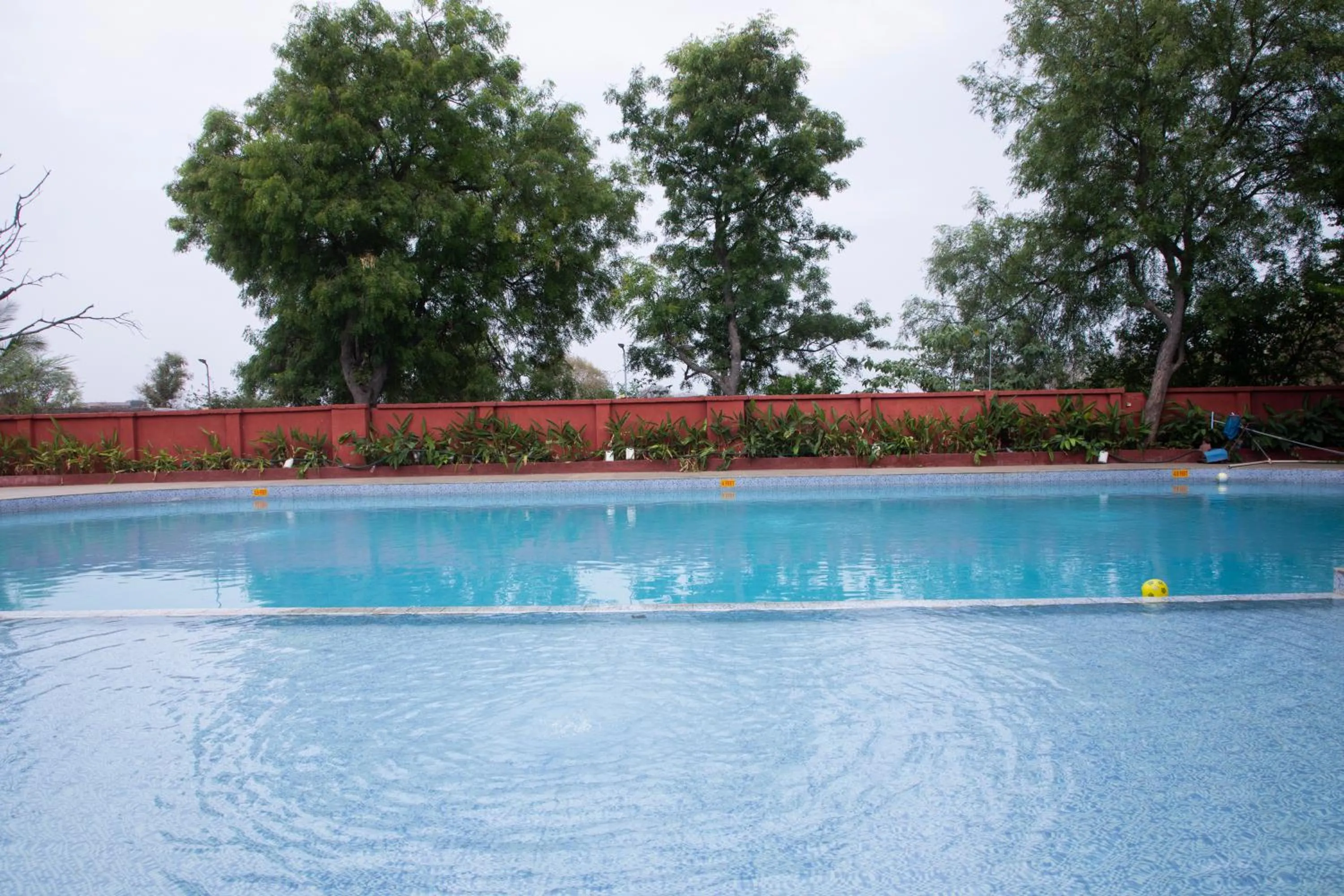 Swimming pool in The Greenfields Resort and Convention
