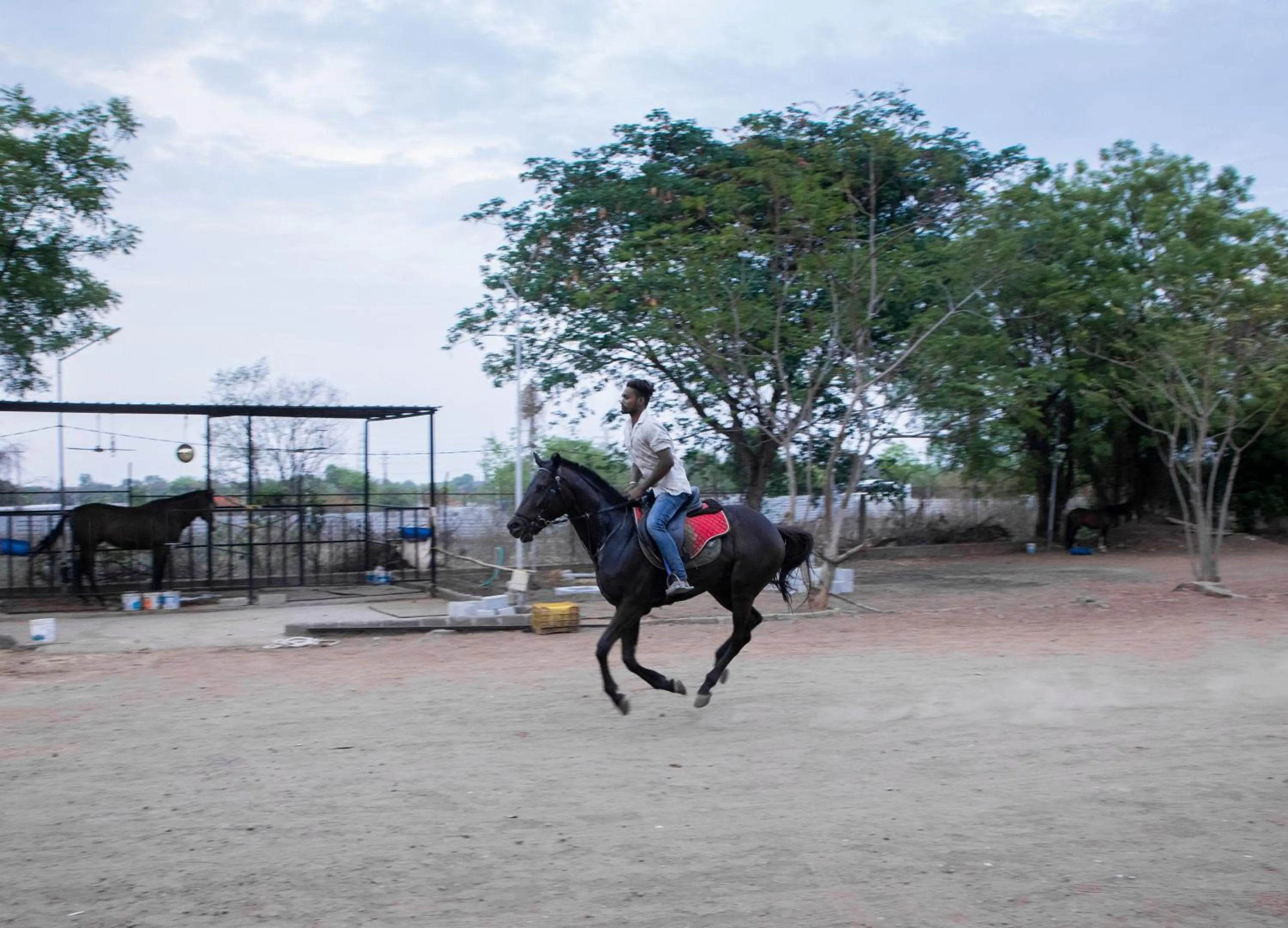 Horse-riding in The Greenfields Resort and Convention