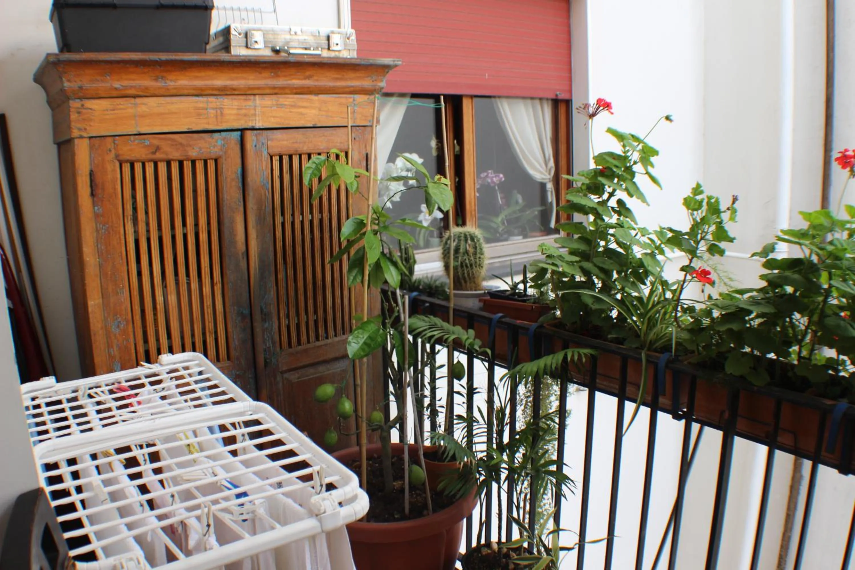 Balcony/Terrace in B&B Lili