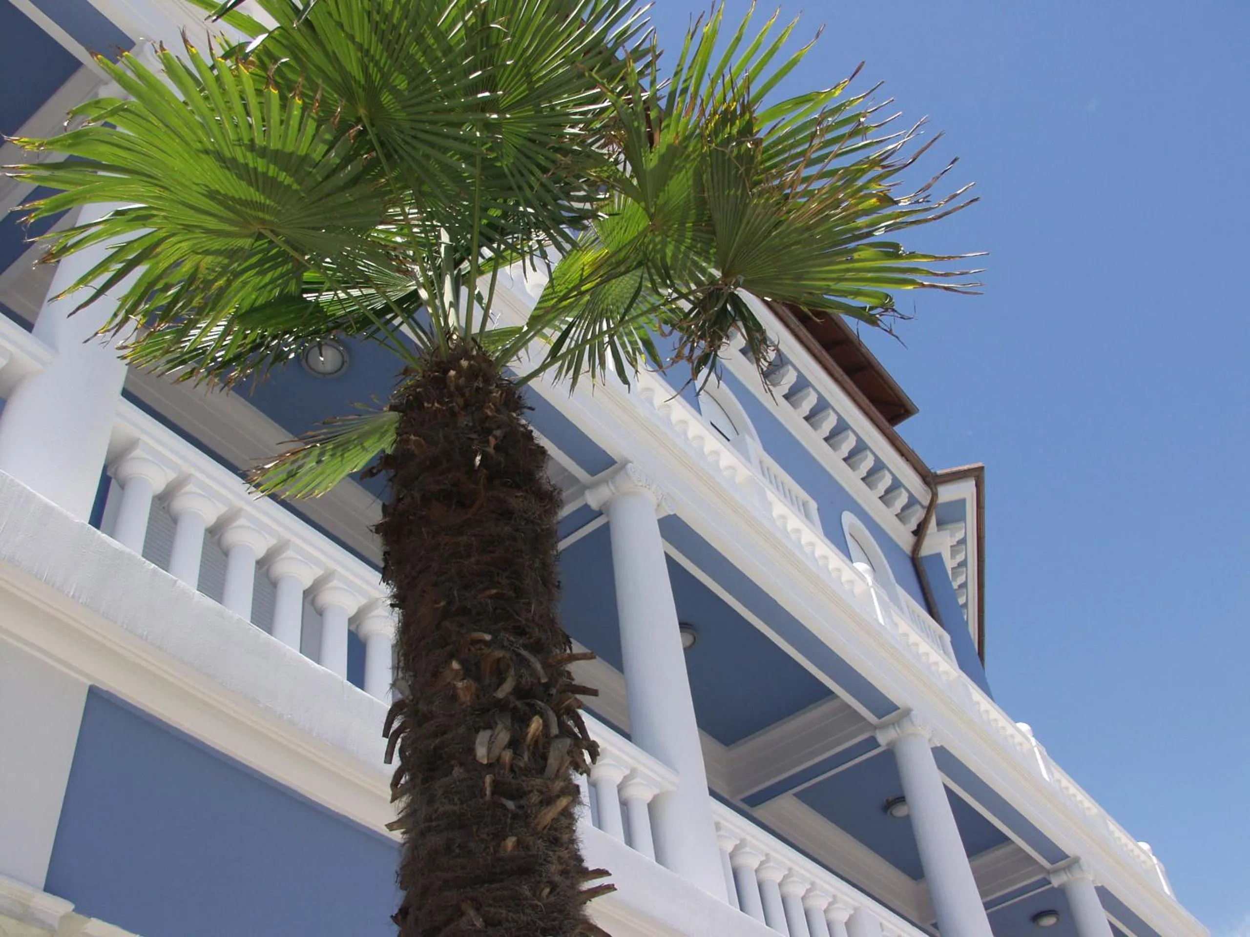 Property building in Hotel Park