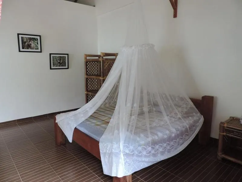 Staff, Bed in Riverside Guesthouse and Treks