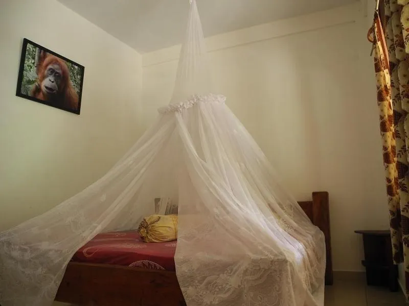 Staff, Bed in Riverside Guesthouse and Treks