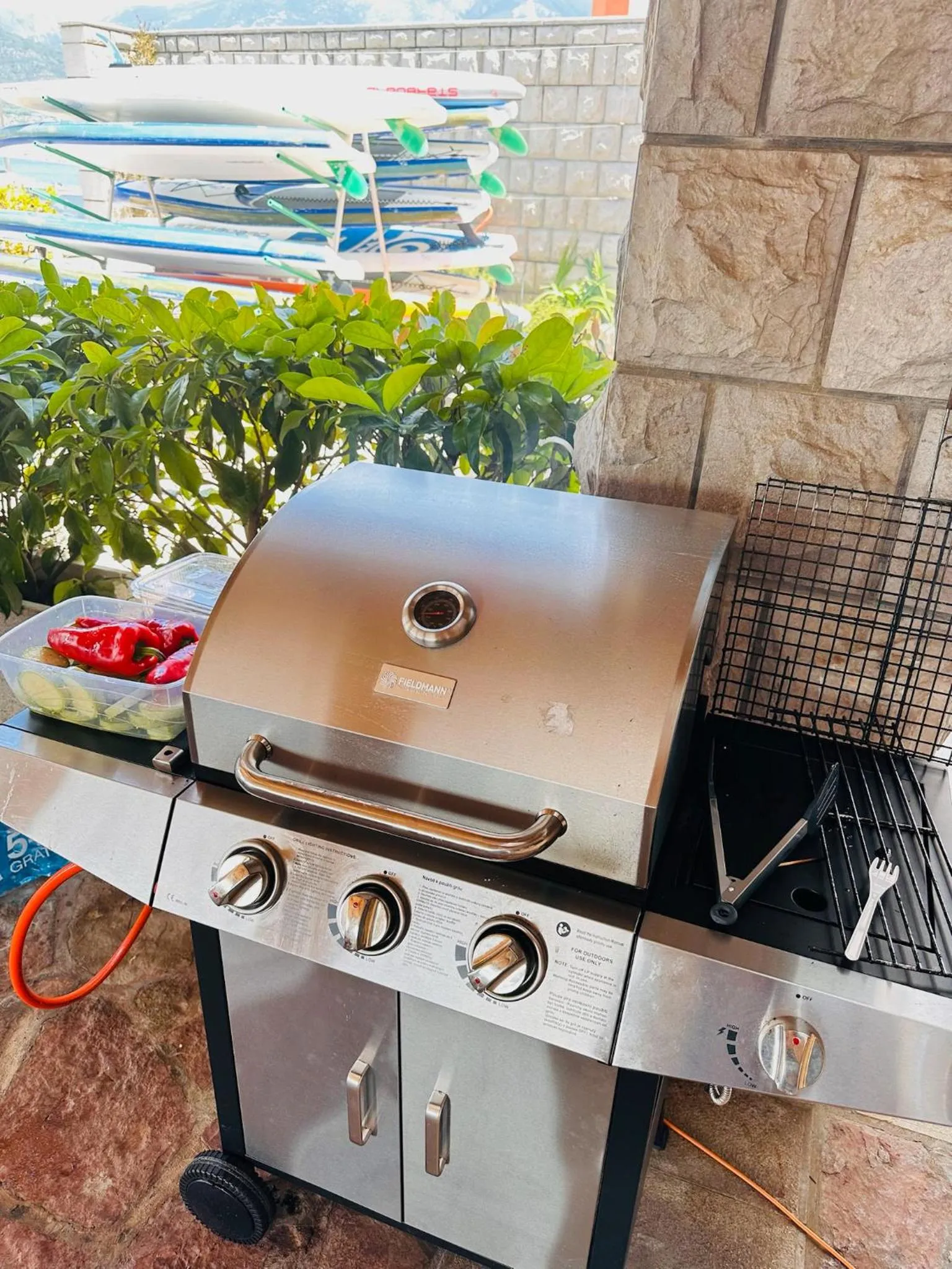 BBQ facilities in Apart-hotel Villa Lav