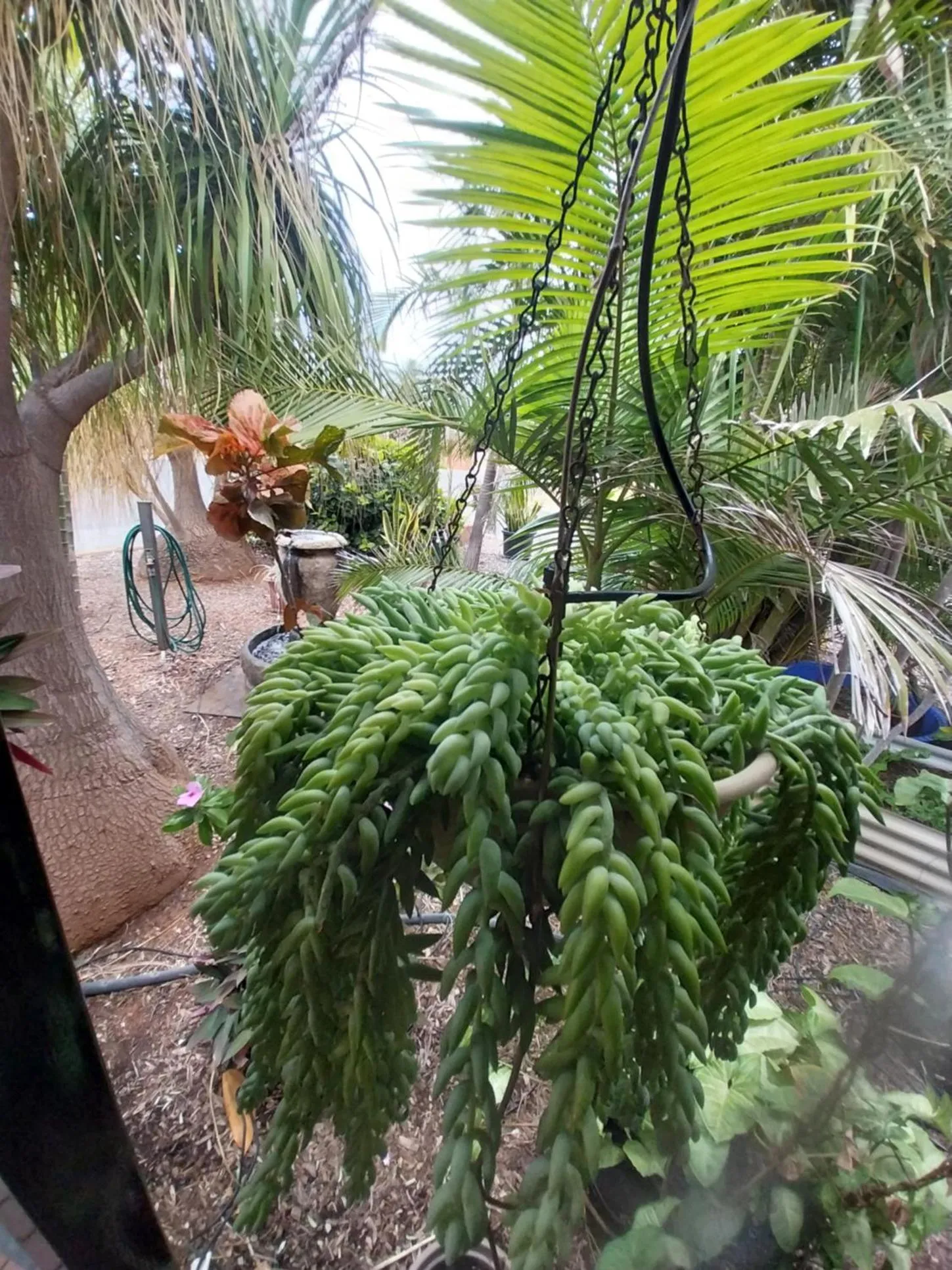 Carnarvon Central Apartments