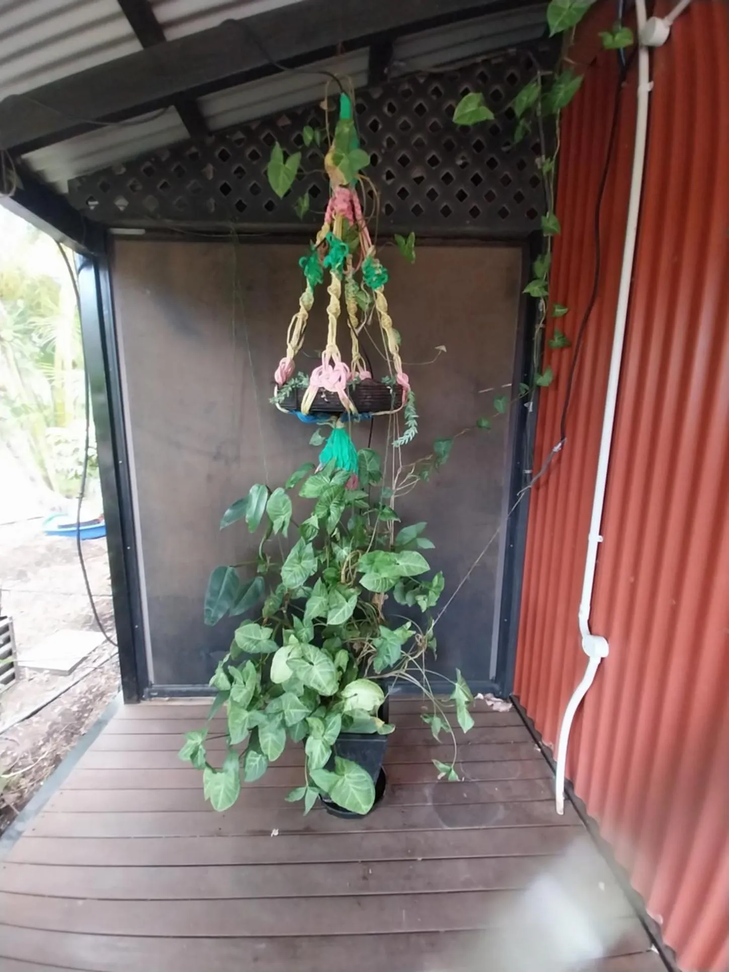 Carnarvon Central Apartments