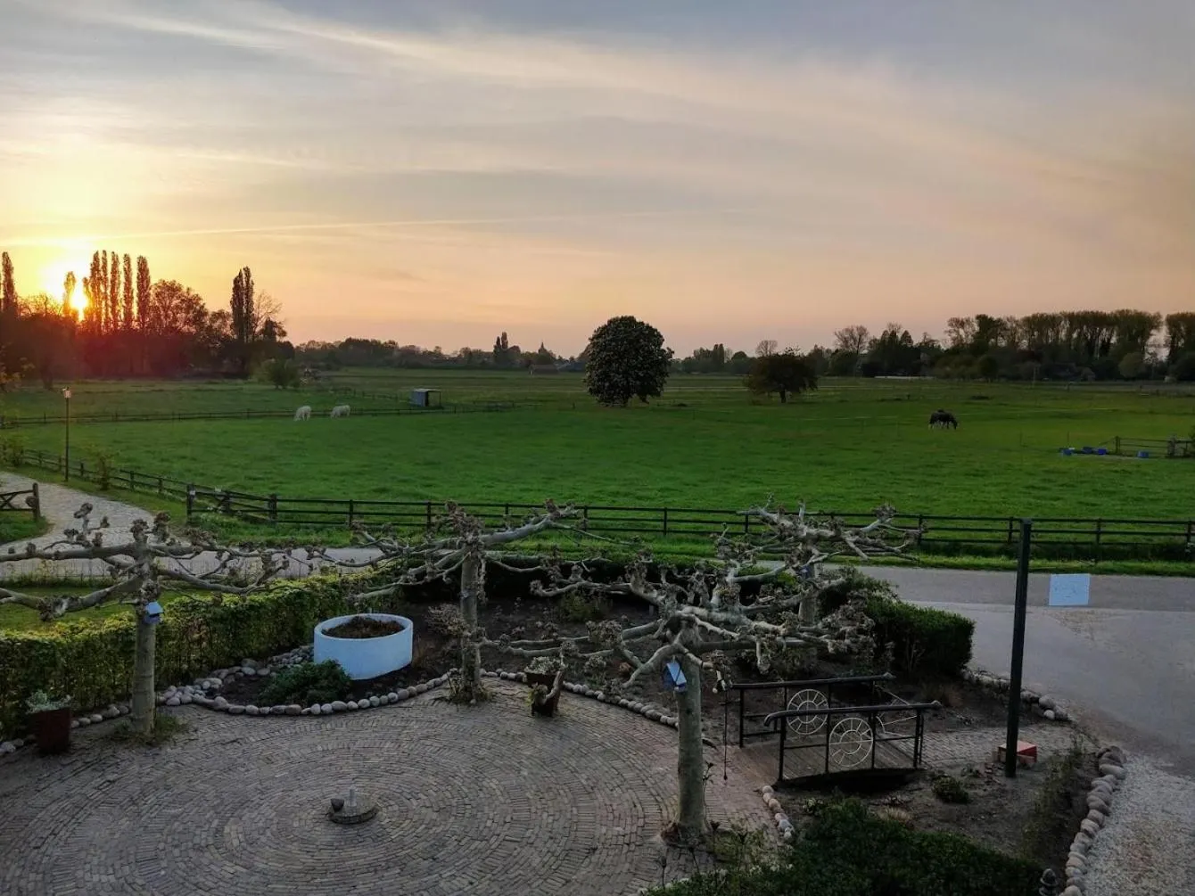 Natural landscape in Bed and Breakfast Maas en Waal