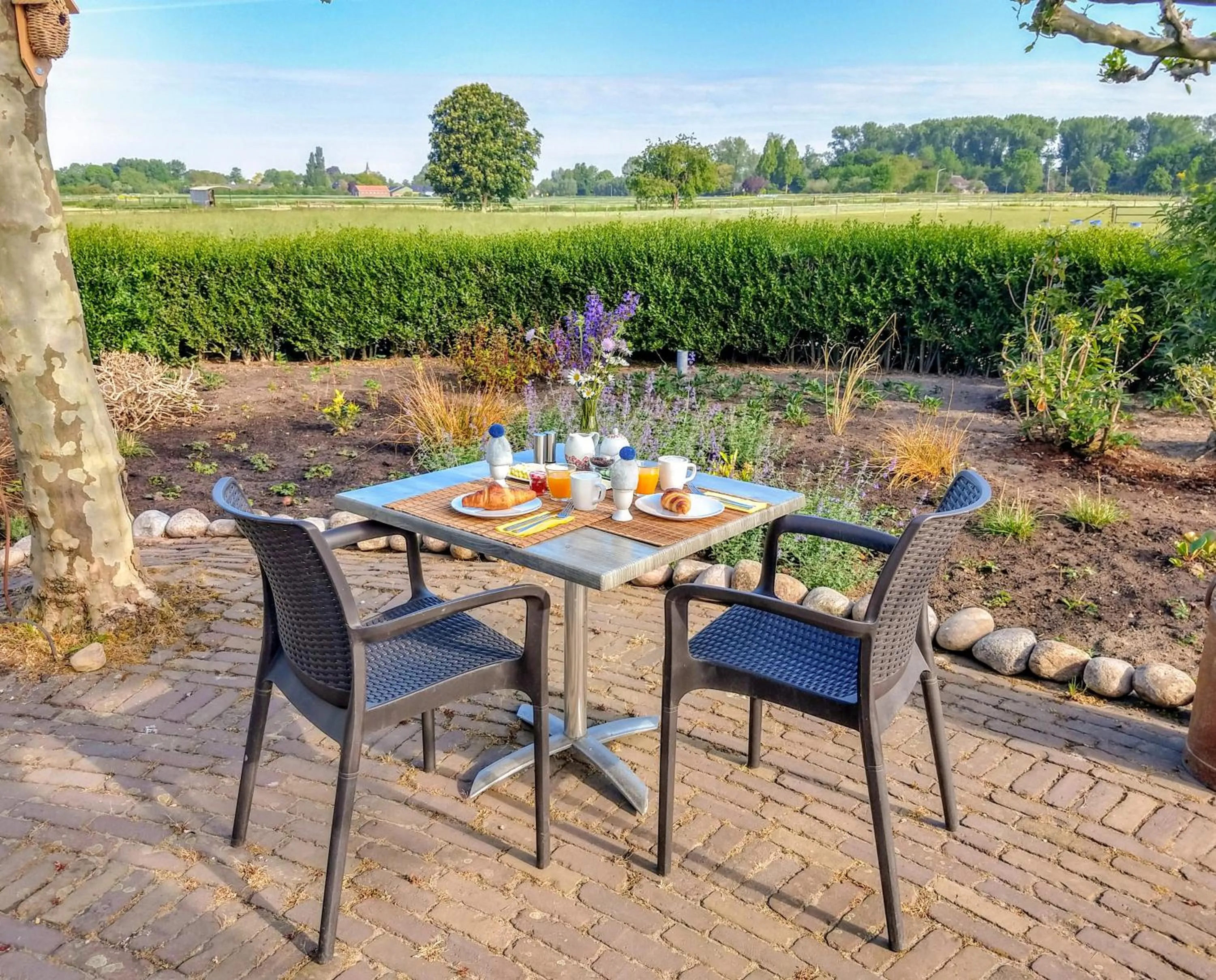 Garden in Bed and Breakfast Maas en Waal