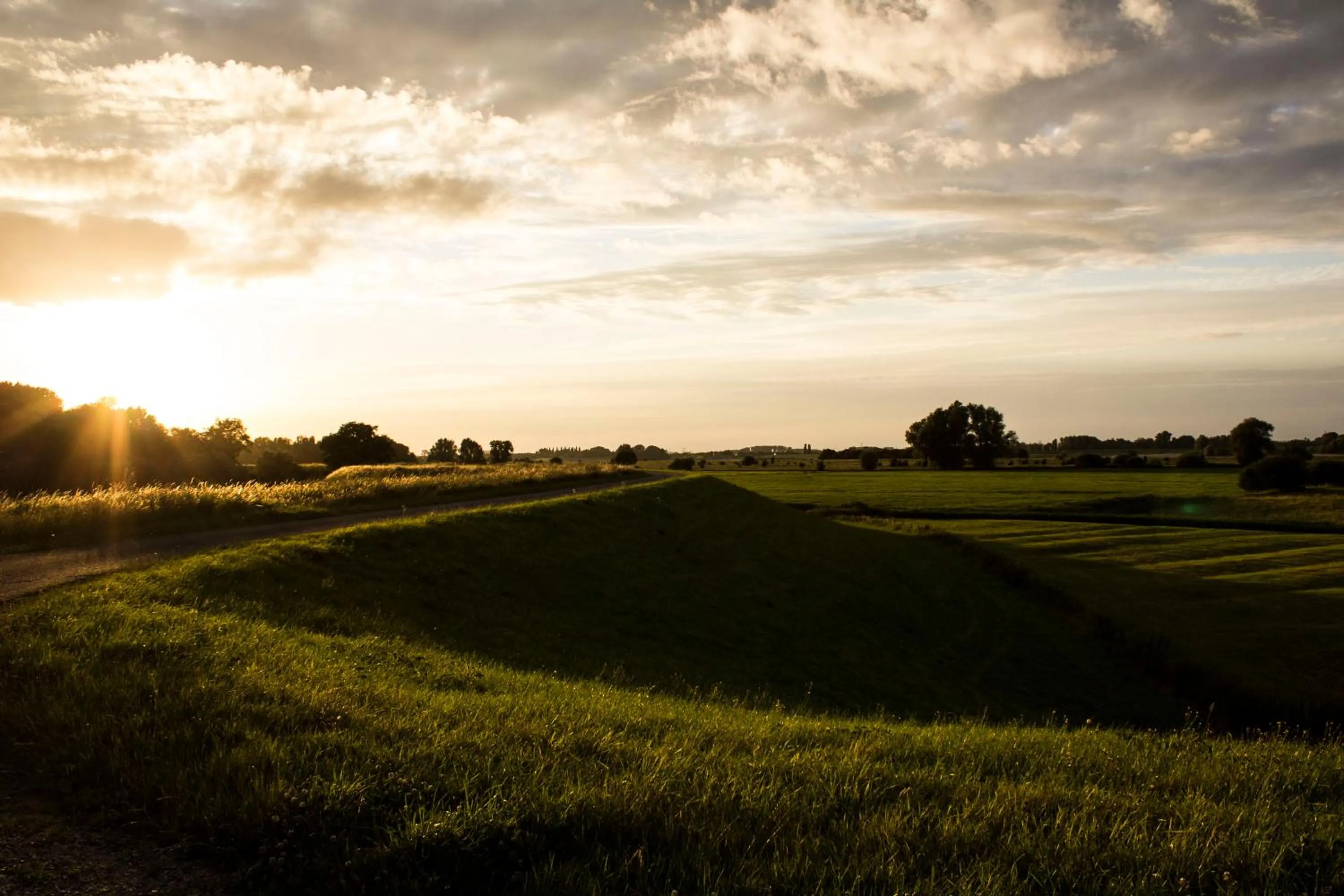 Natural landscape in Bed and Breakfast Maas en Waal