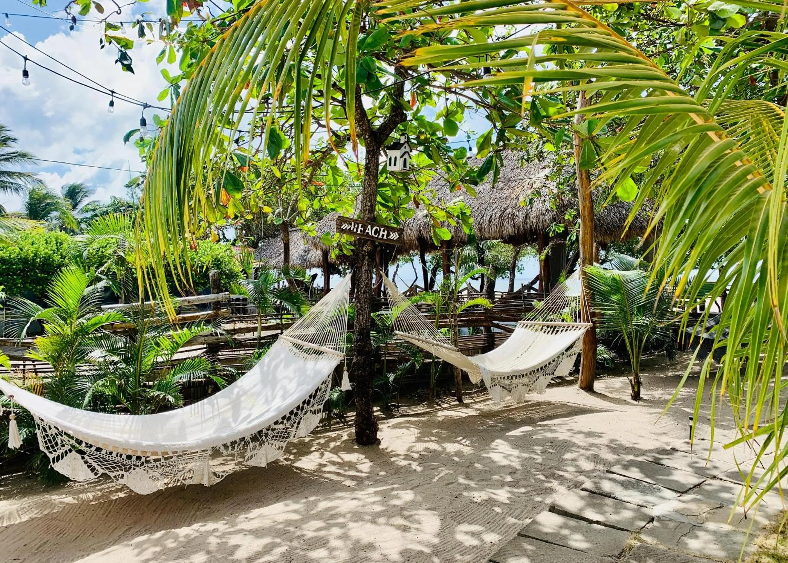 Spring in Casitas Pacific