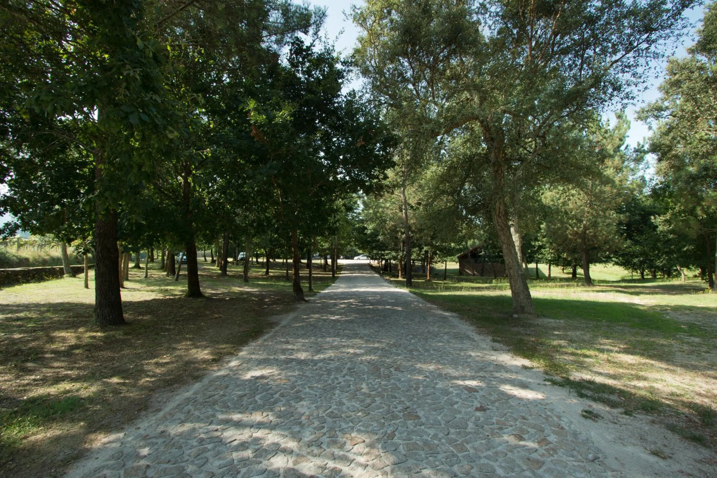 Facade/entrance in Quinta do Caminho, AL