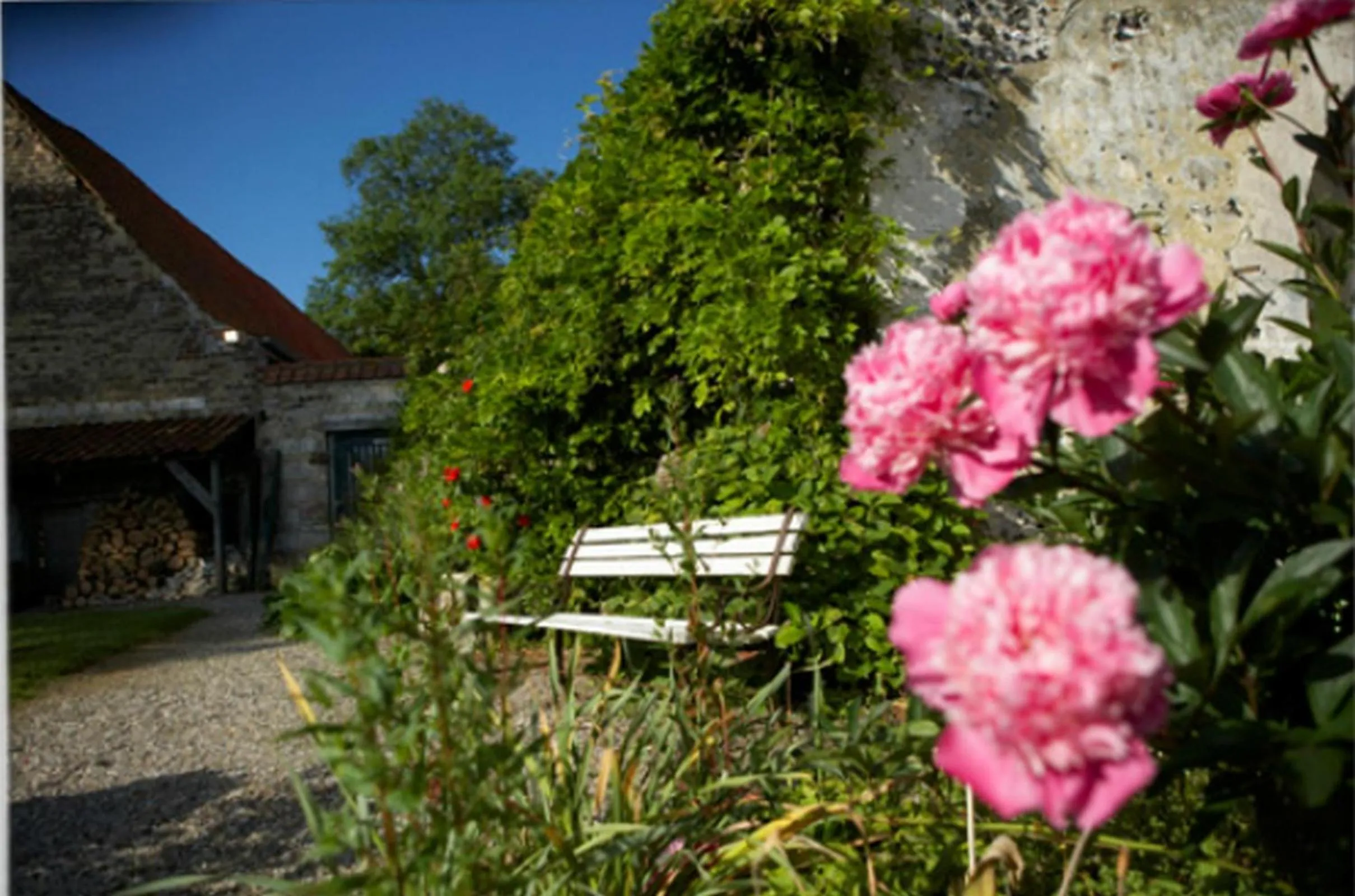 Garden in Château De Cocove