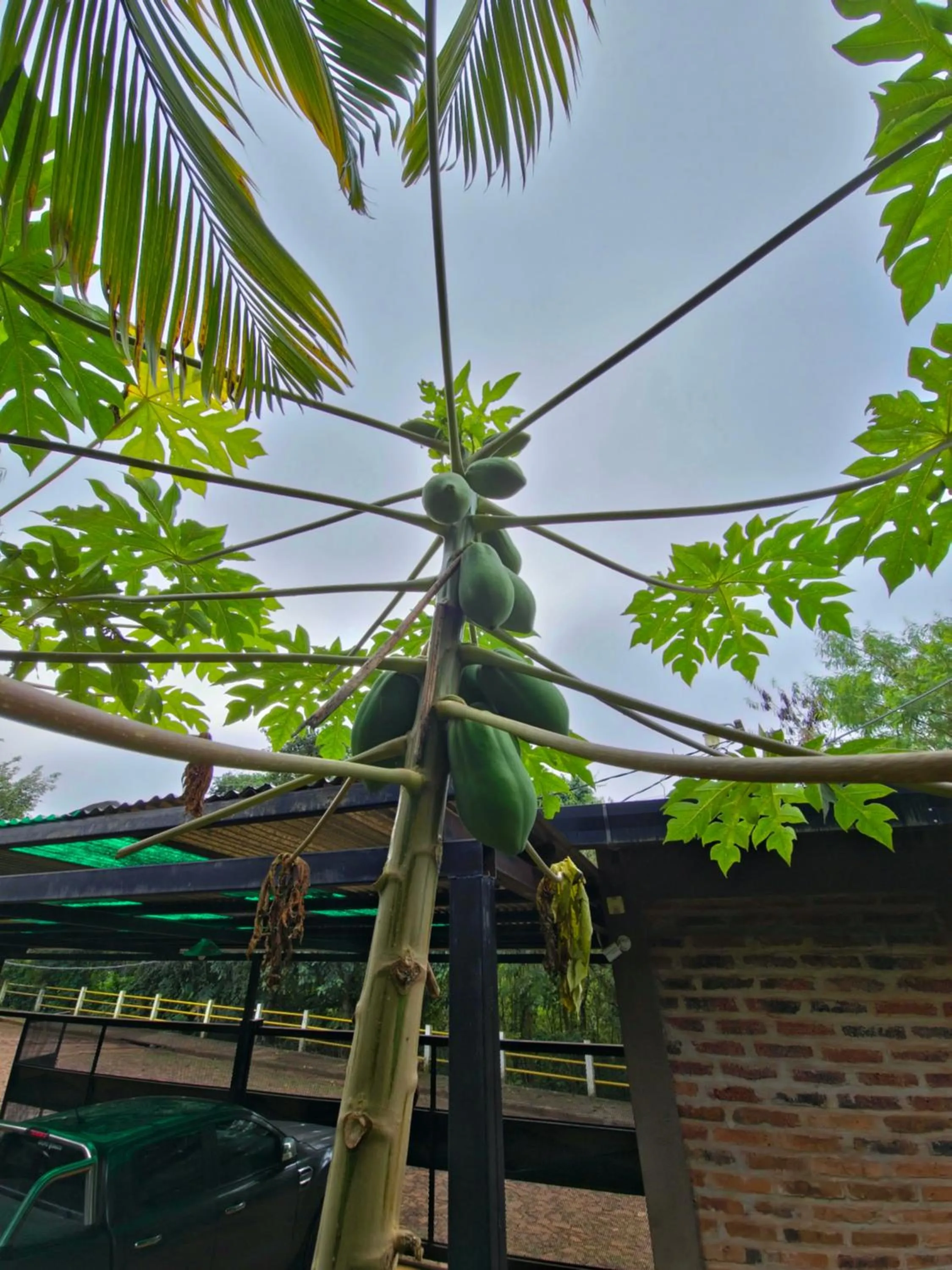 Day in Terra Iguazú Cabañas