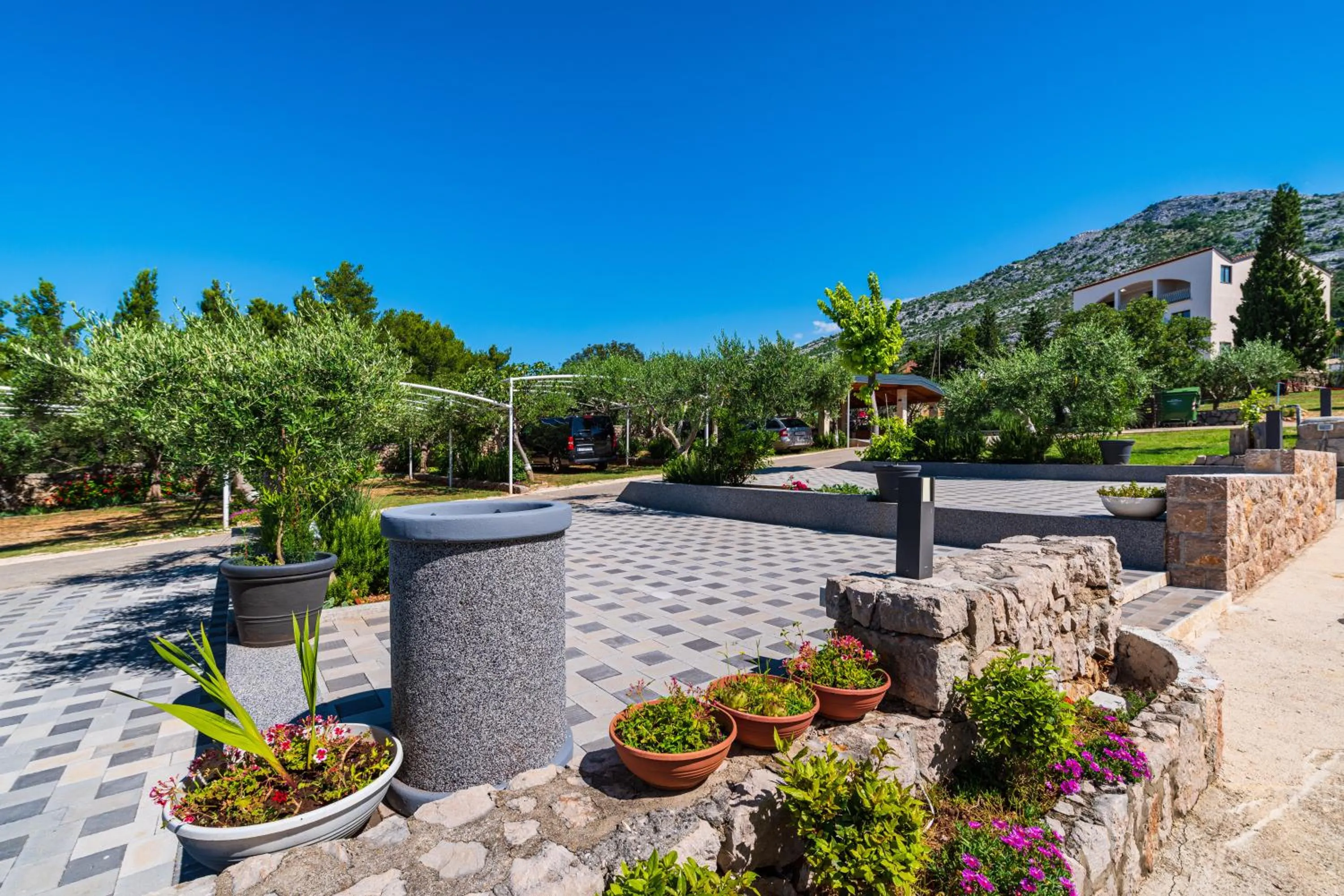 Garden in Hotel Vicko