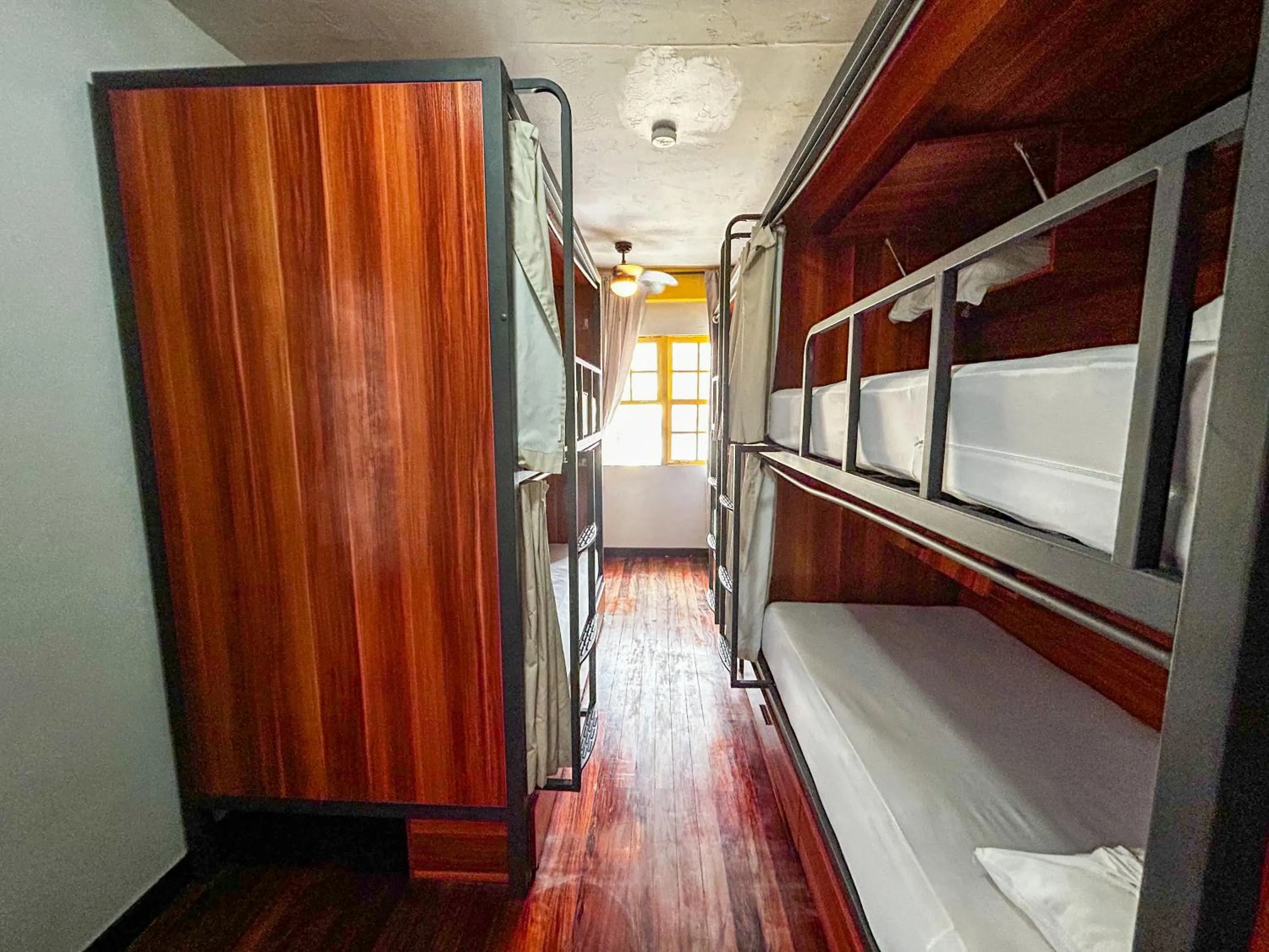 Bed in Viajero San José Hostel