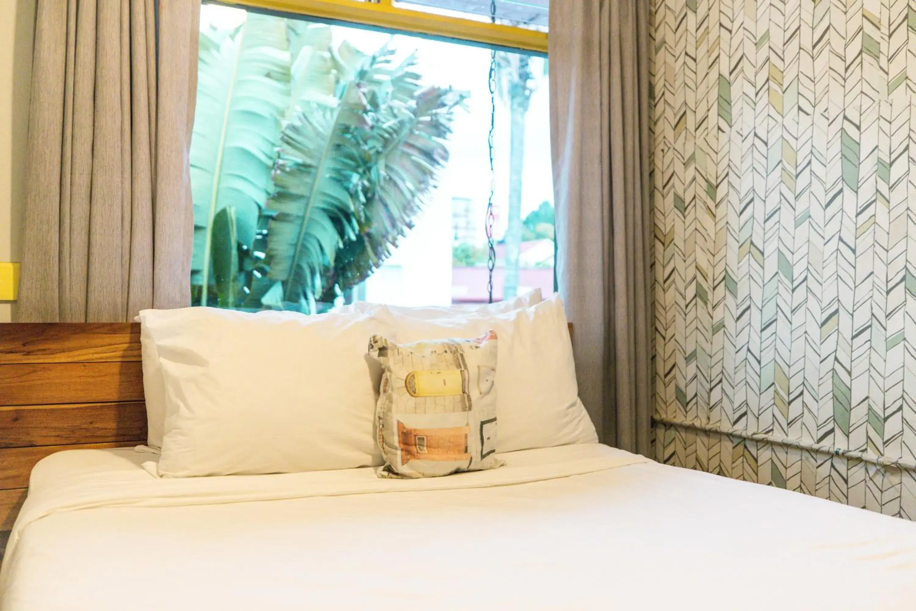 Small Room Shared Bathroom in Viajero San José Hostel Small Room Shared Bathroom in Viajero San José Hostel