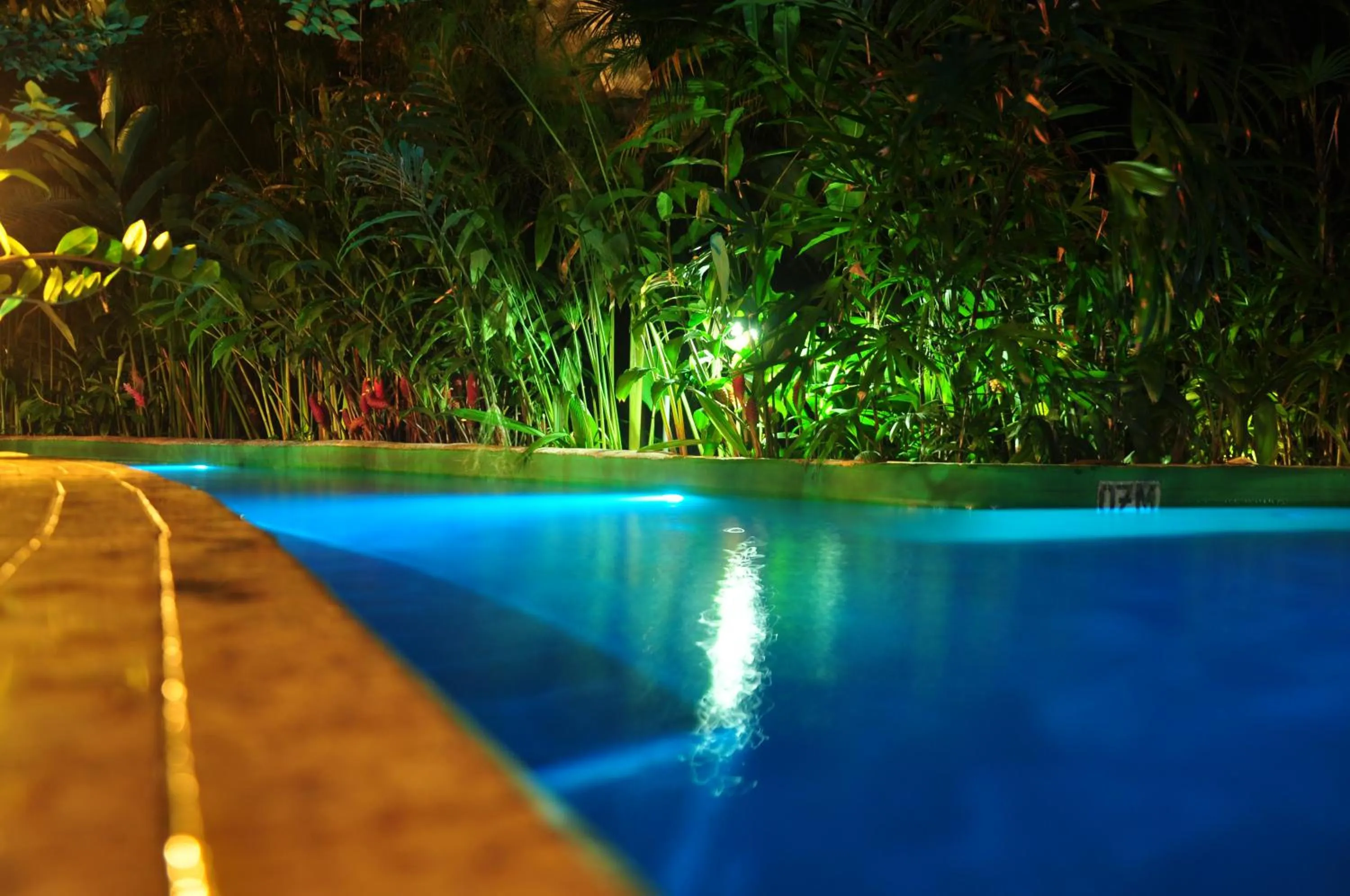 Swimming pool in Paradise Hot Springs - Thermal Water & Volcano Views