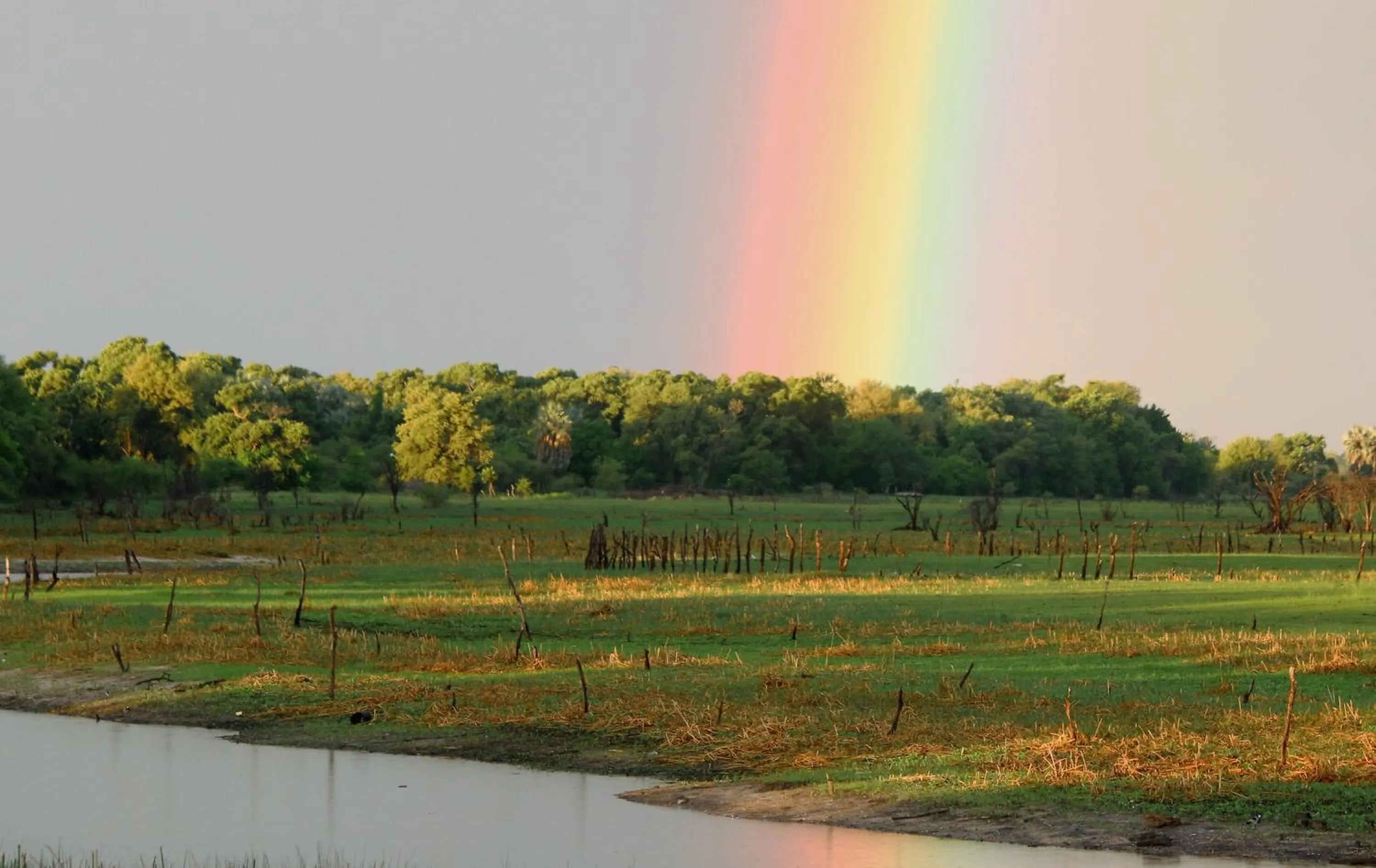 Natural landscape in Island Safari Lodge